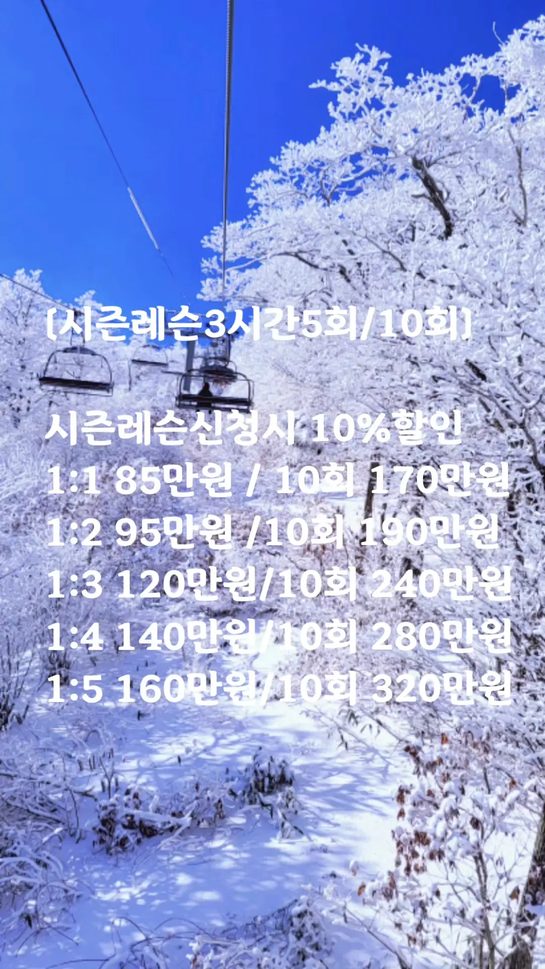 이미지 13