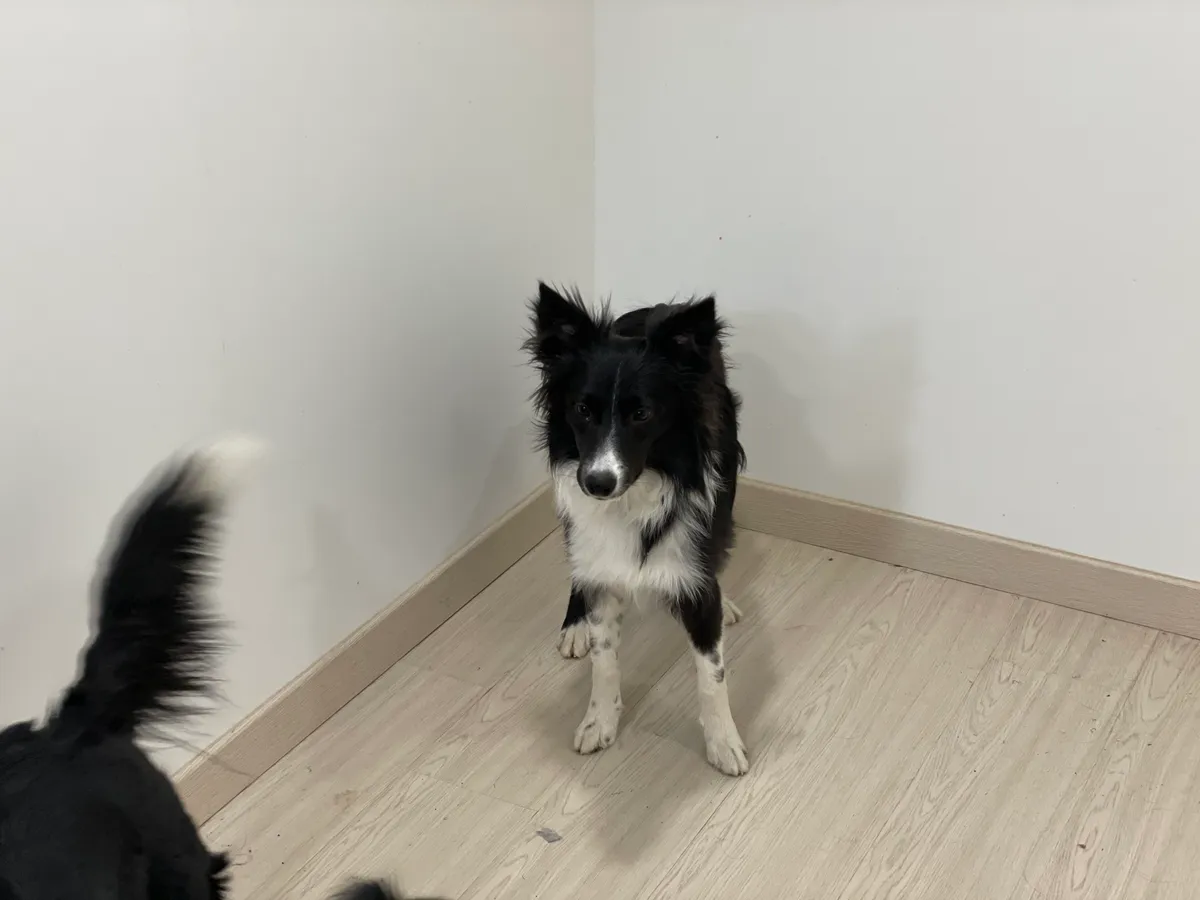 이미지 5