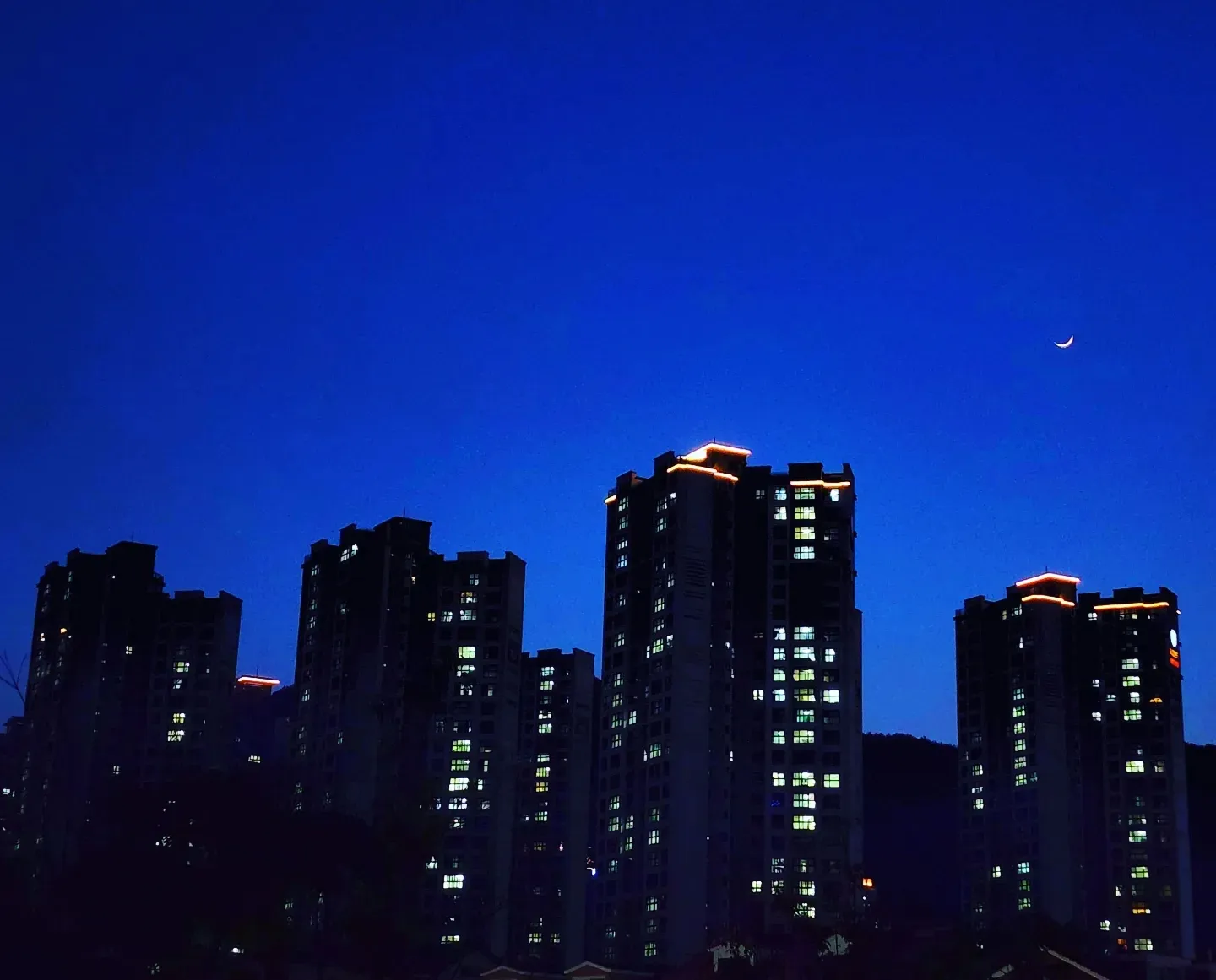 이미지 11