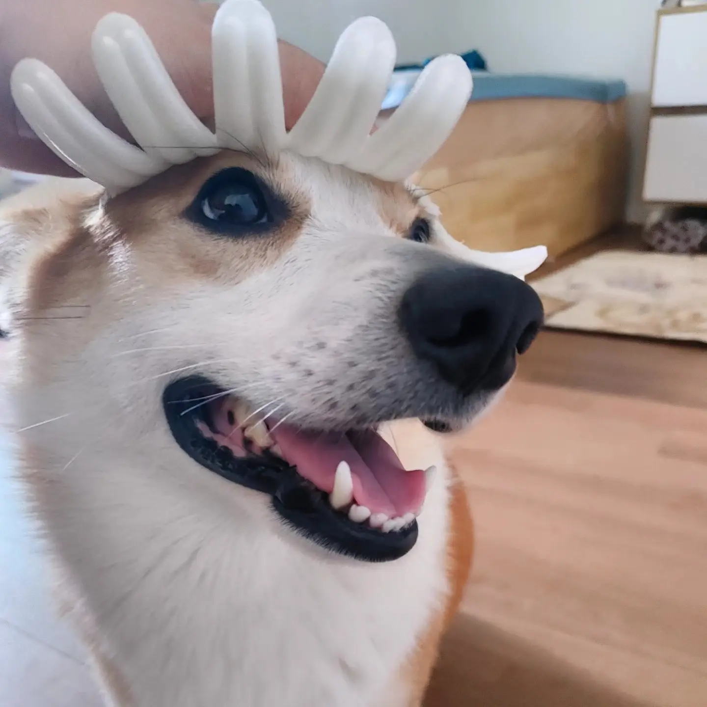 이미지 5