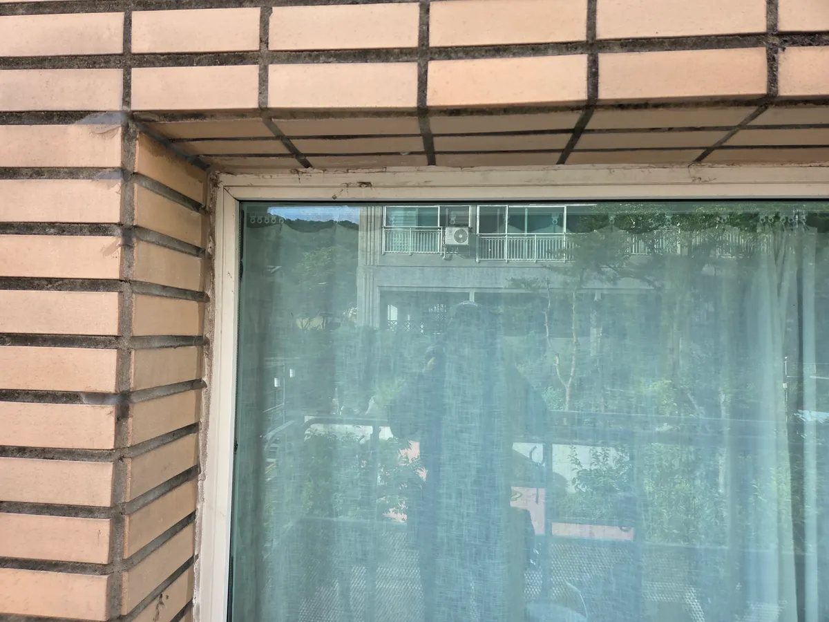 이미지 4