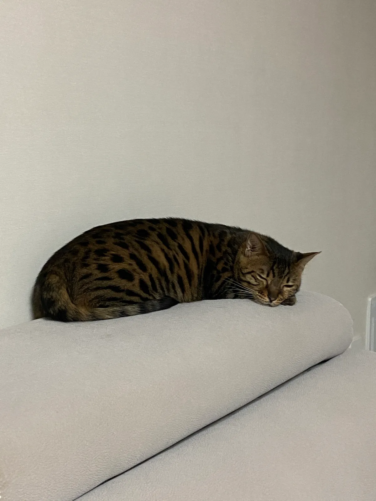 이미지 3