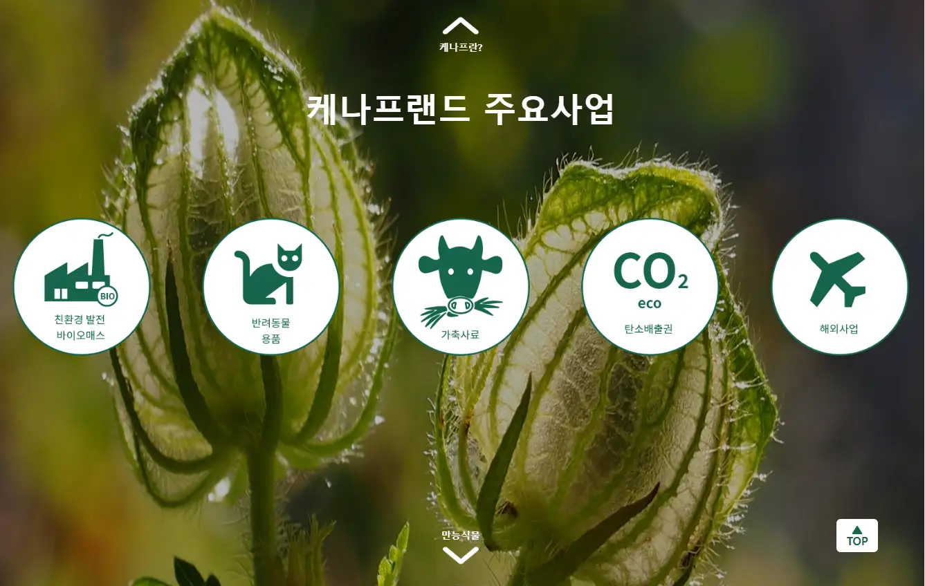 케나프랜드 영세>중소 비지니스 컨설팅 / PMO - 숨고, 숨은고수 케나프랜드 영세>중소 비지니스 컨설팅
