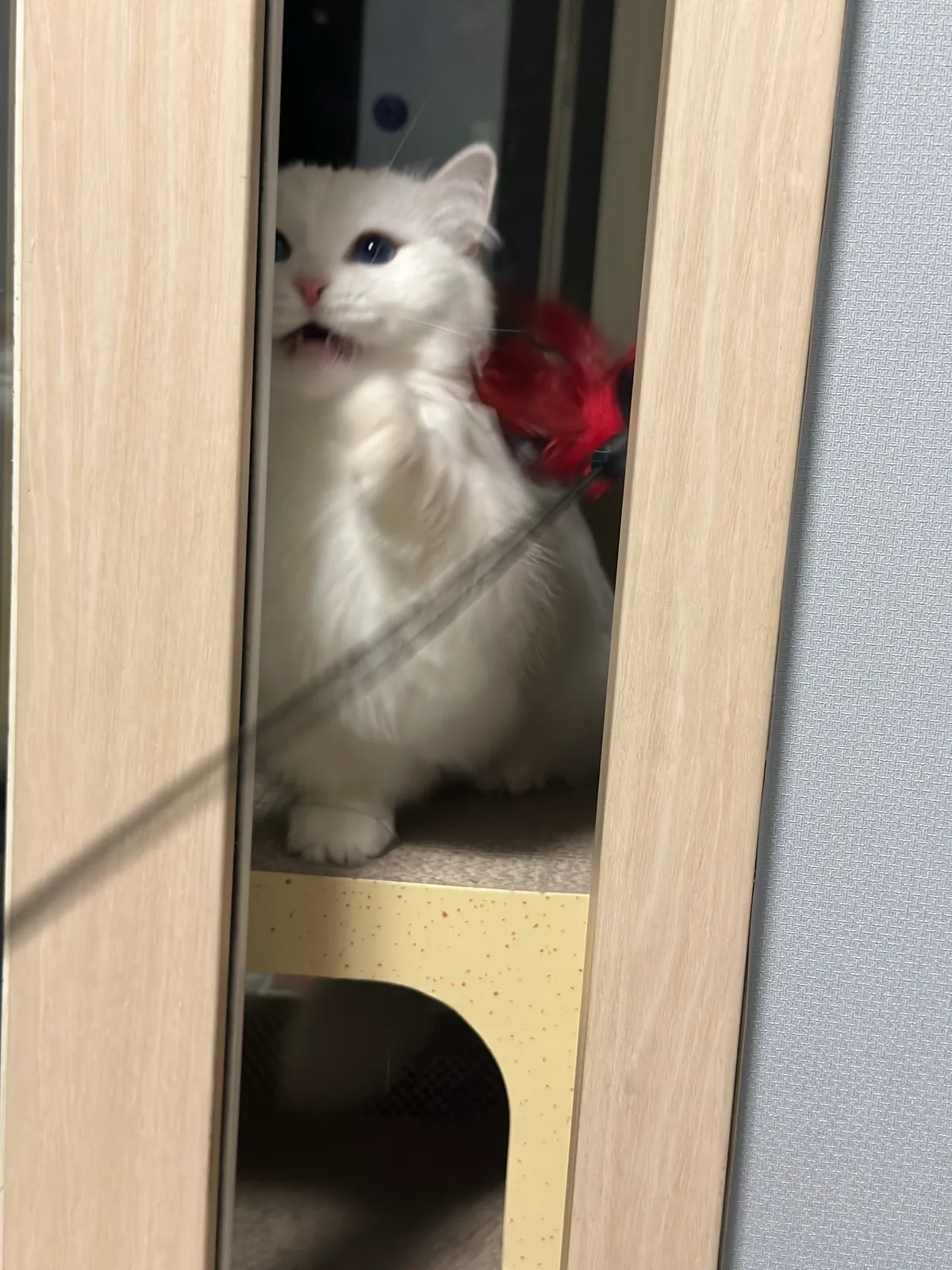 이미지 3