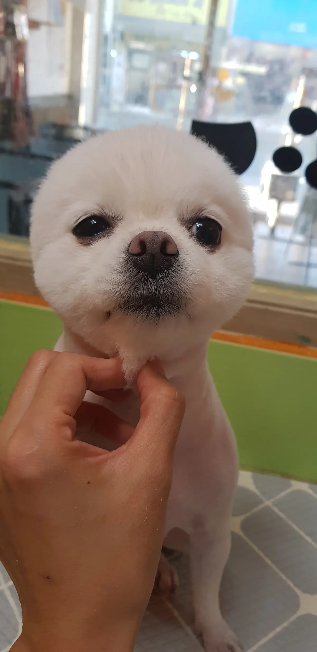 이미지 11