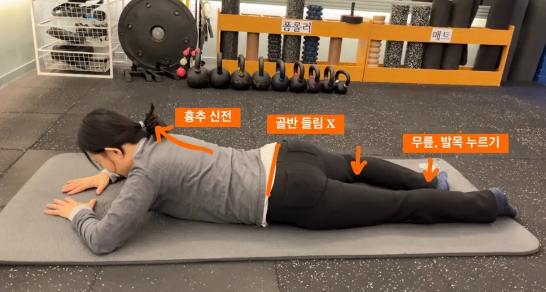 이미지 4