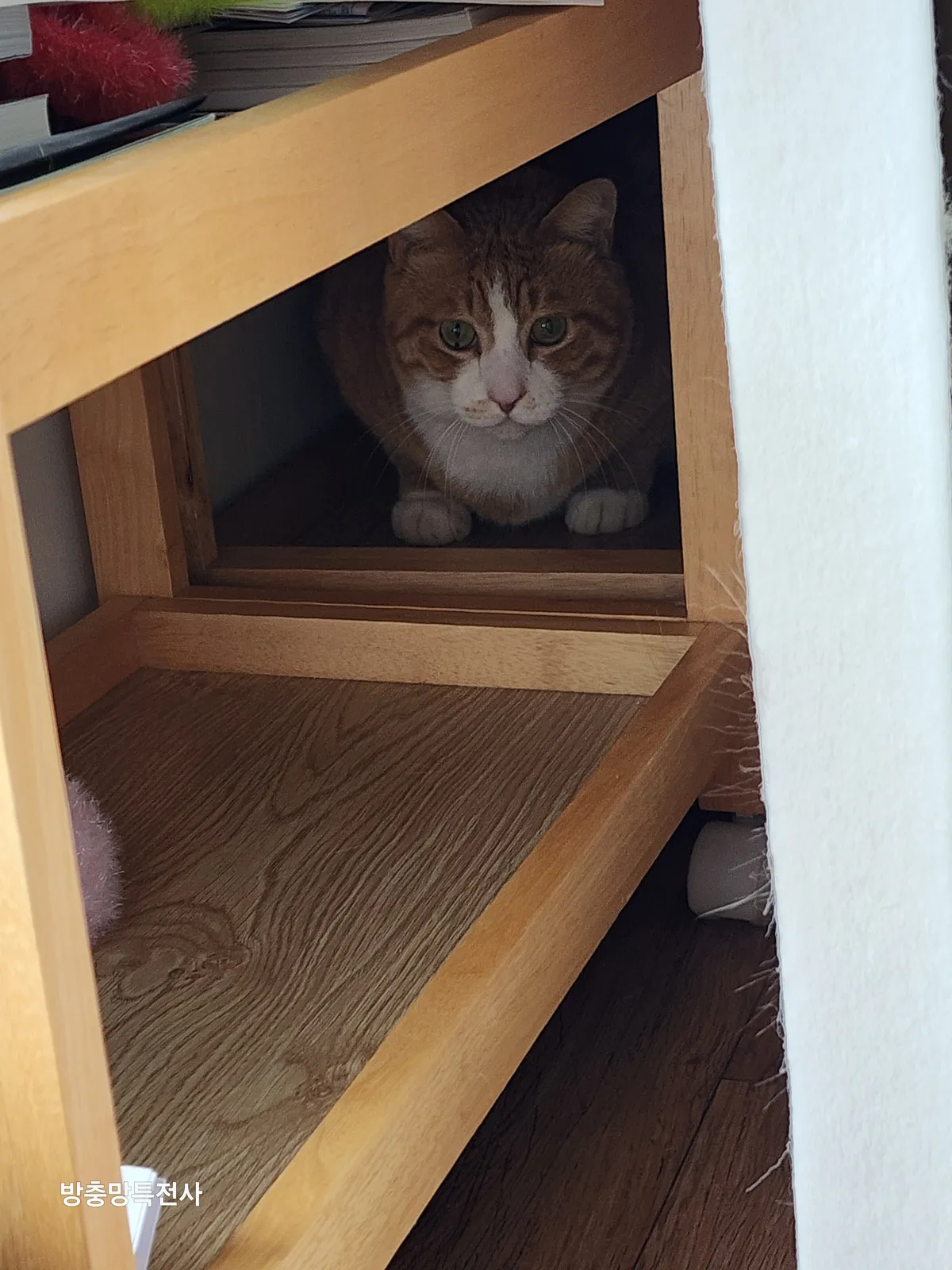 이미지 24