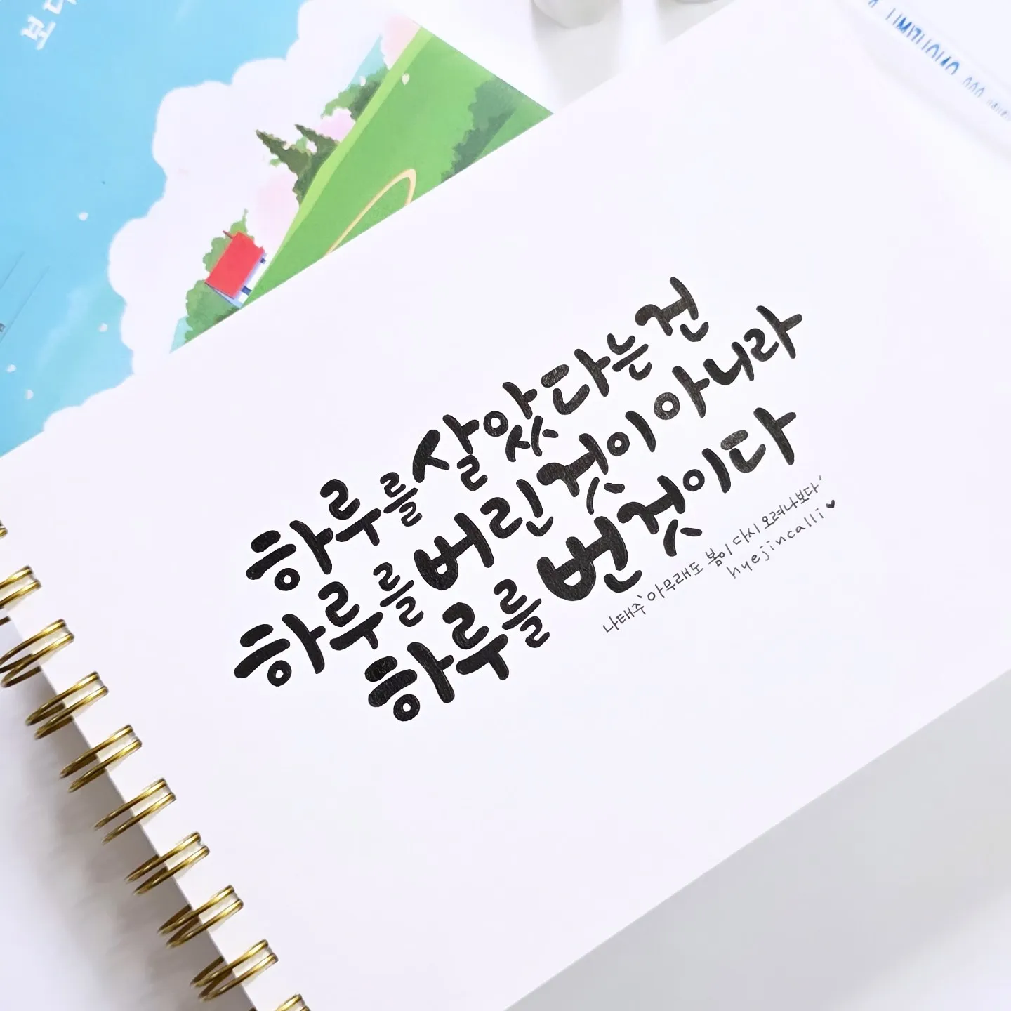 이미지 6