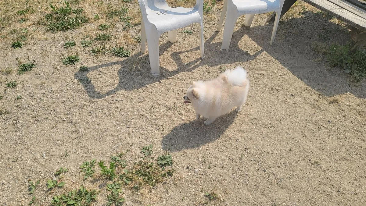 이미지 11