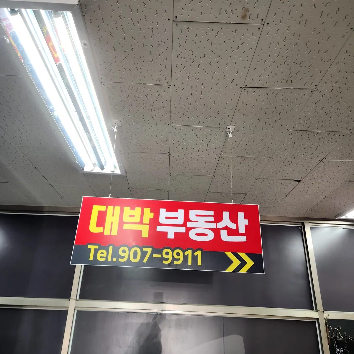 이미지 12