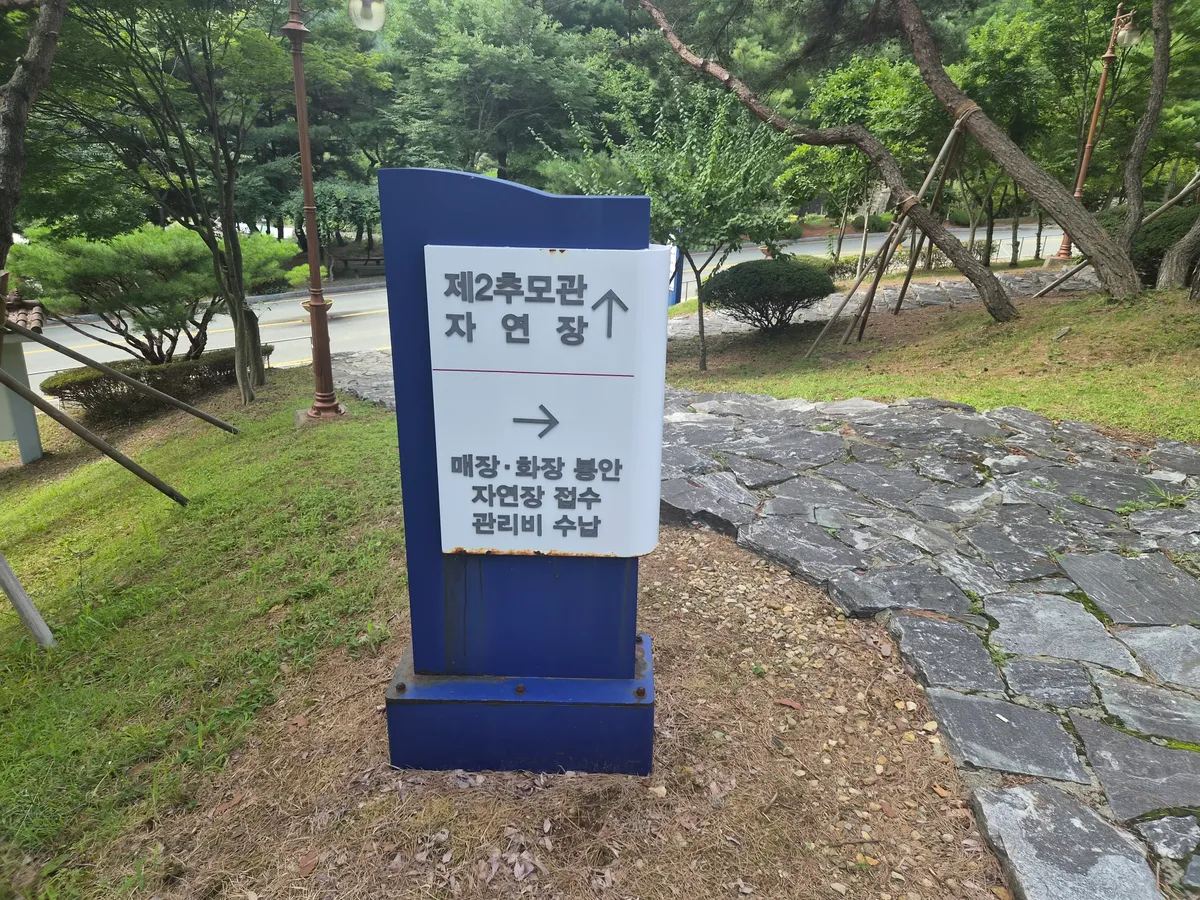 이미지 16