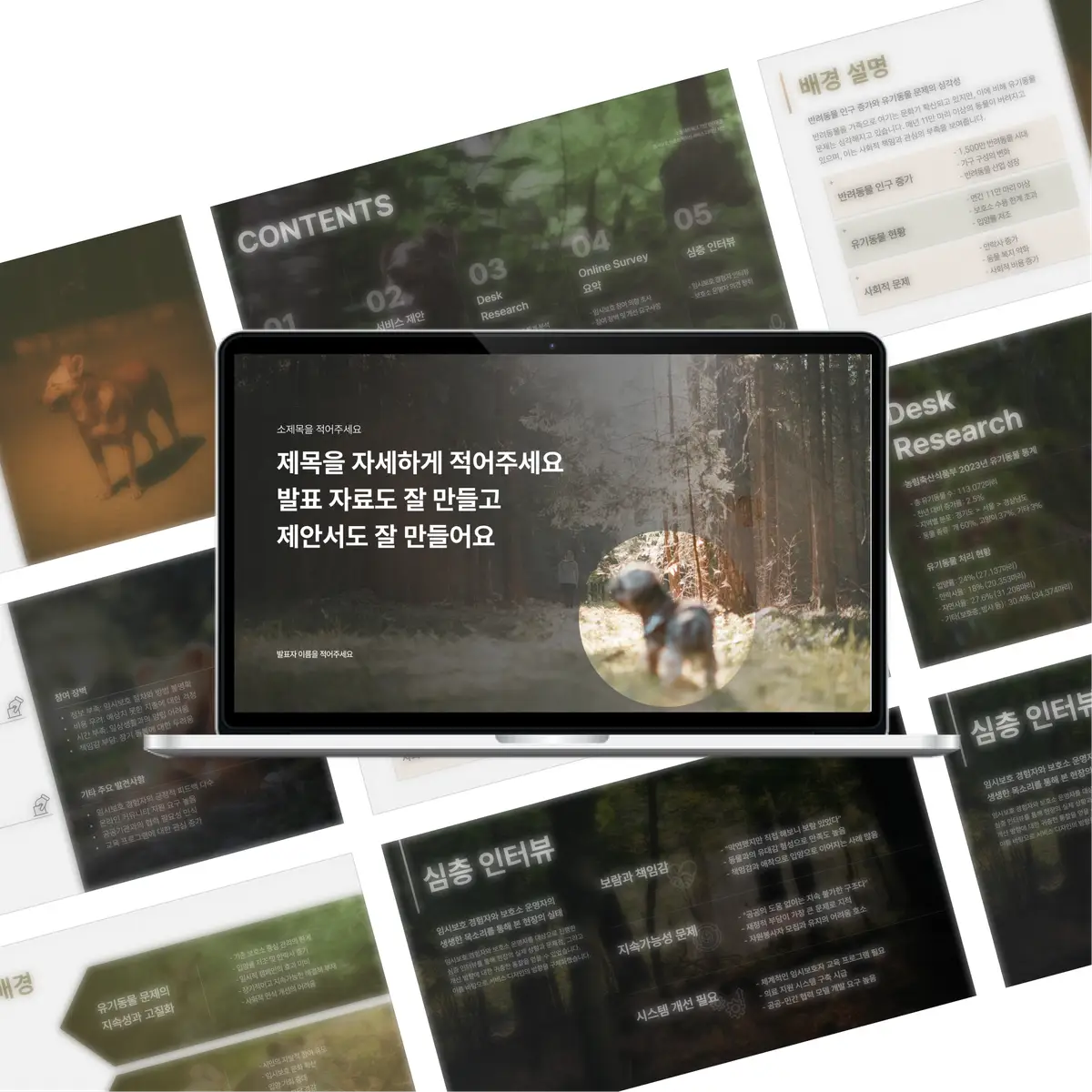 포트폴리오 이미지