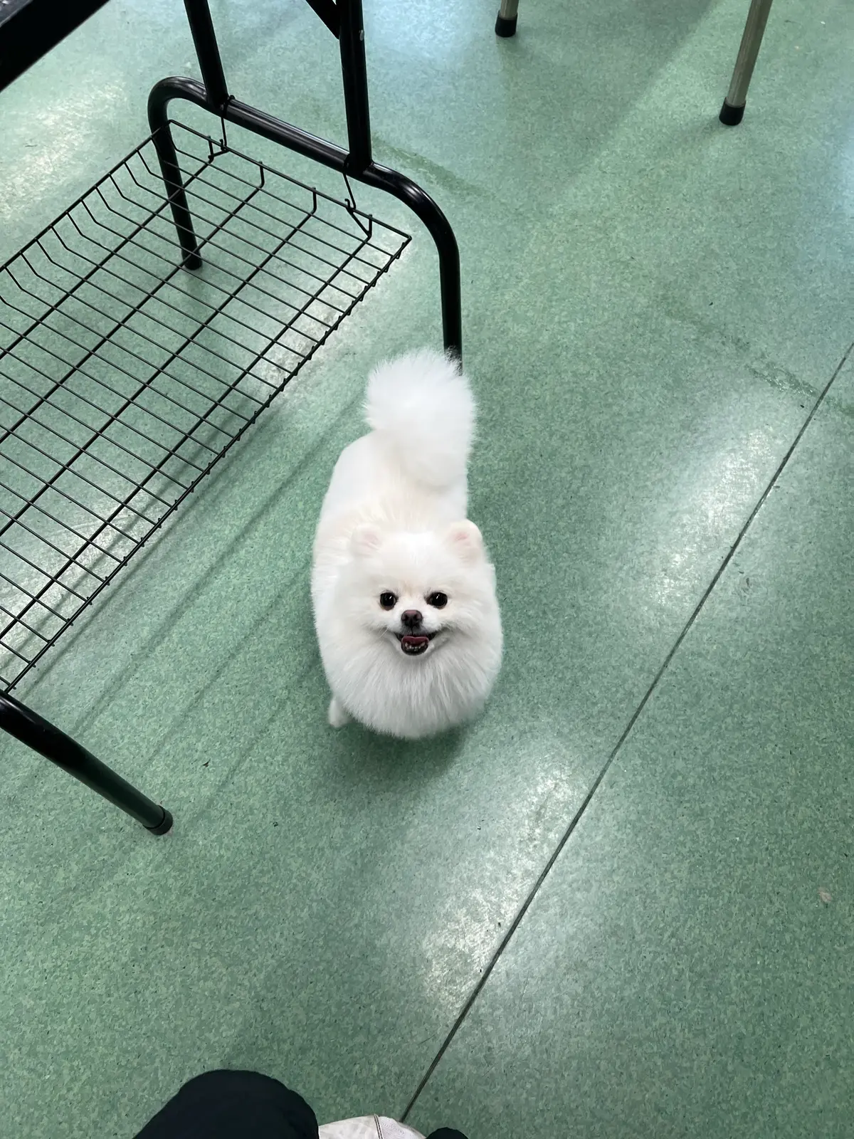 이미지 5