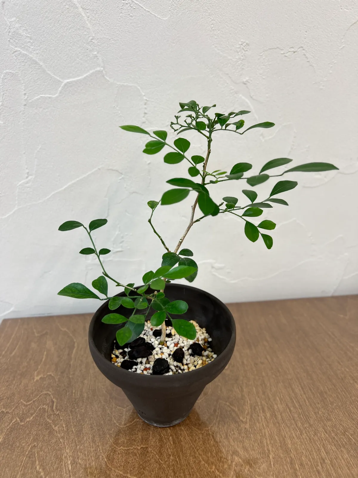 이미지 7