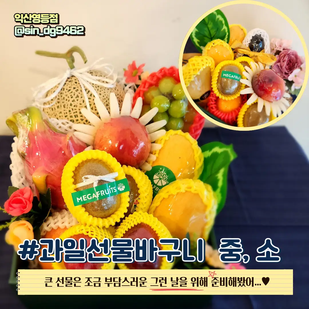 이미지 8