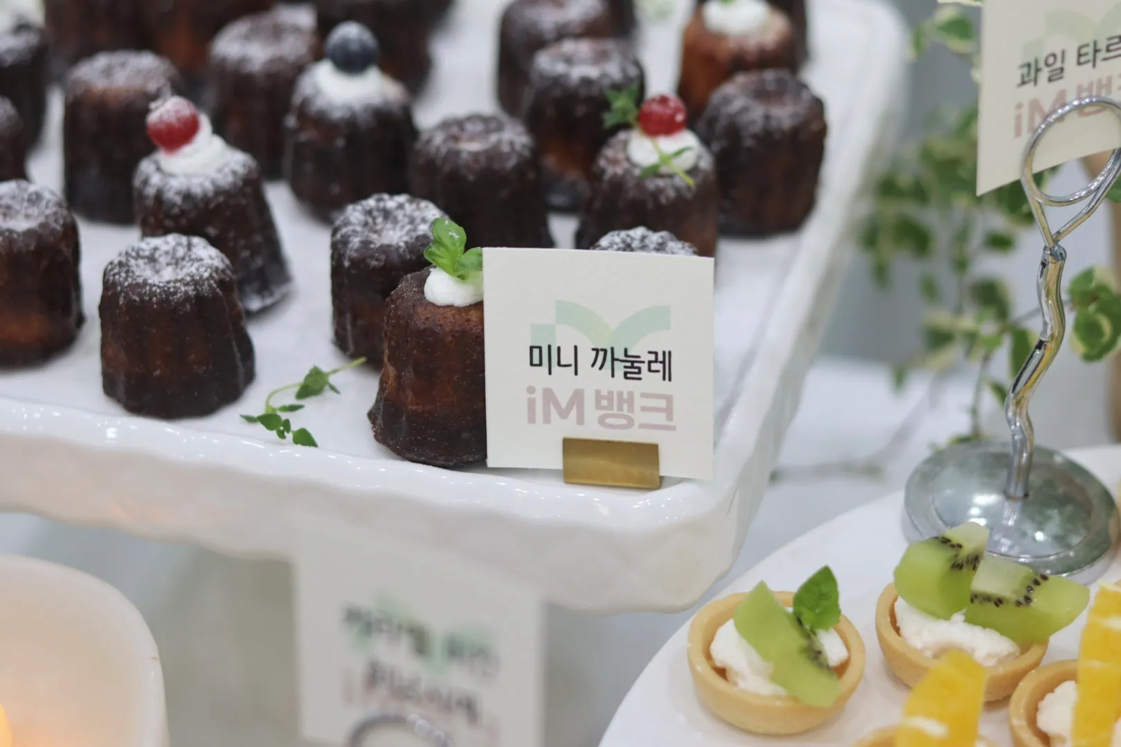 이미지 11