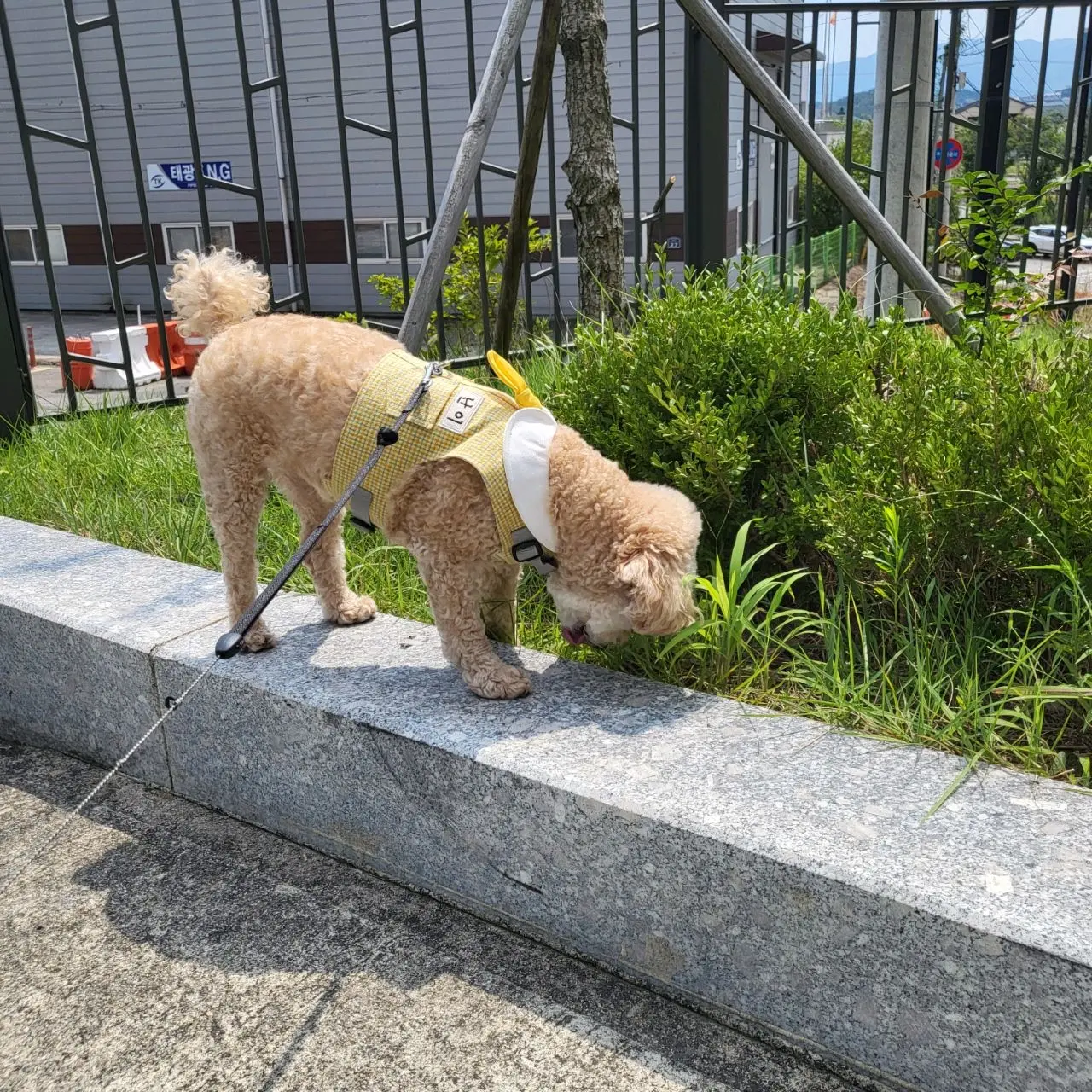 이미지 7