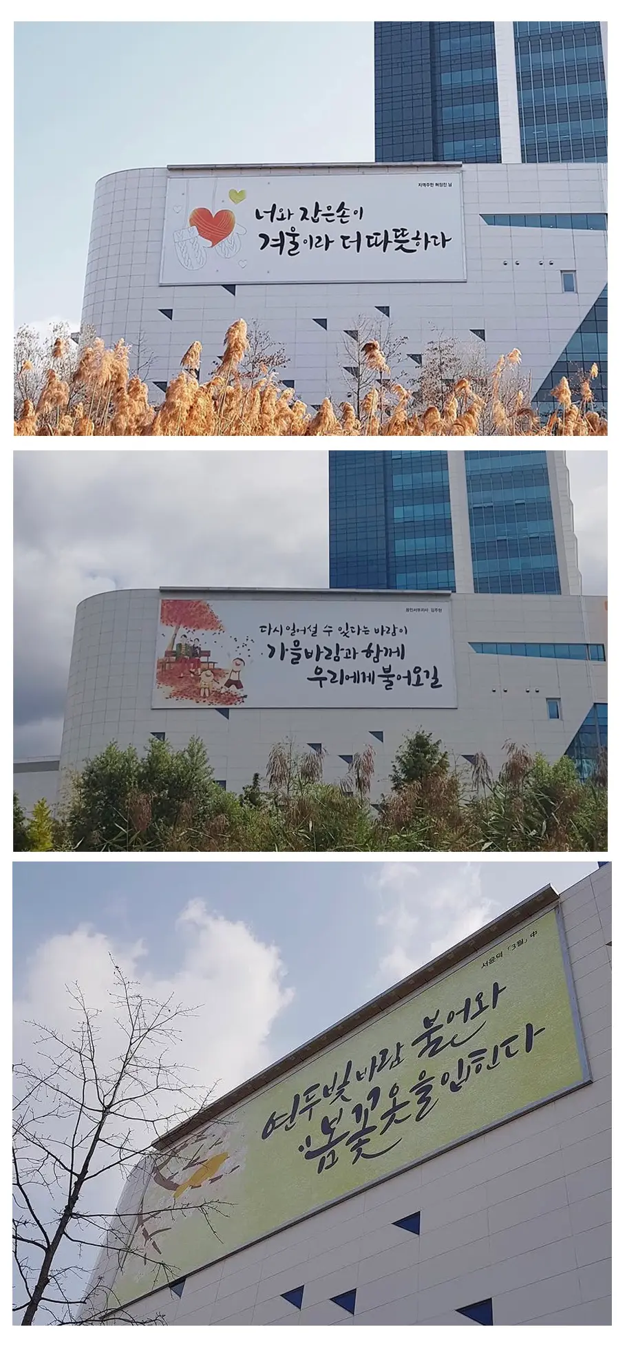 이미지 30
