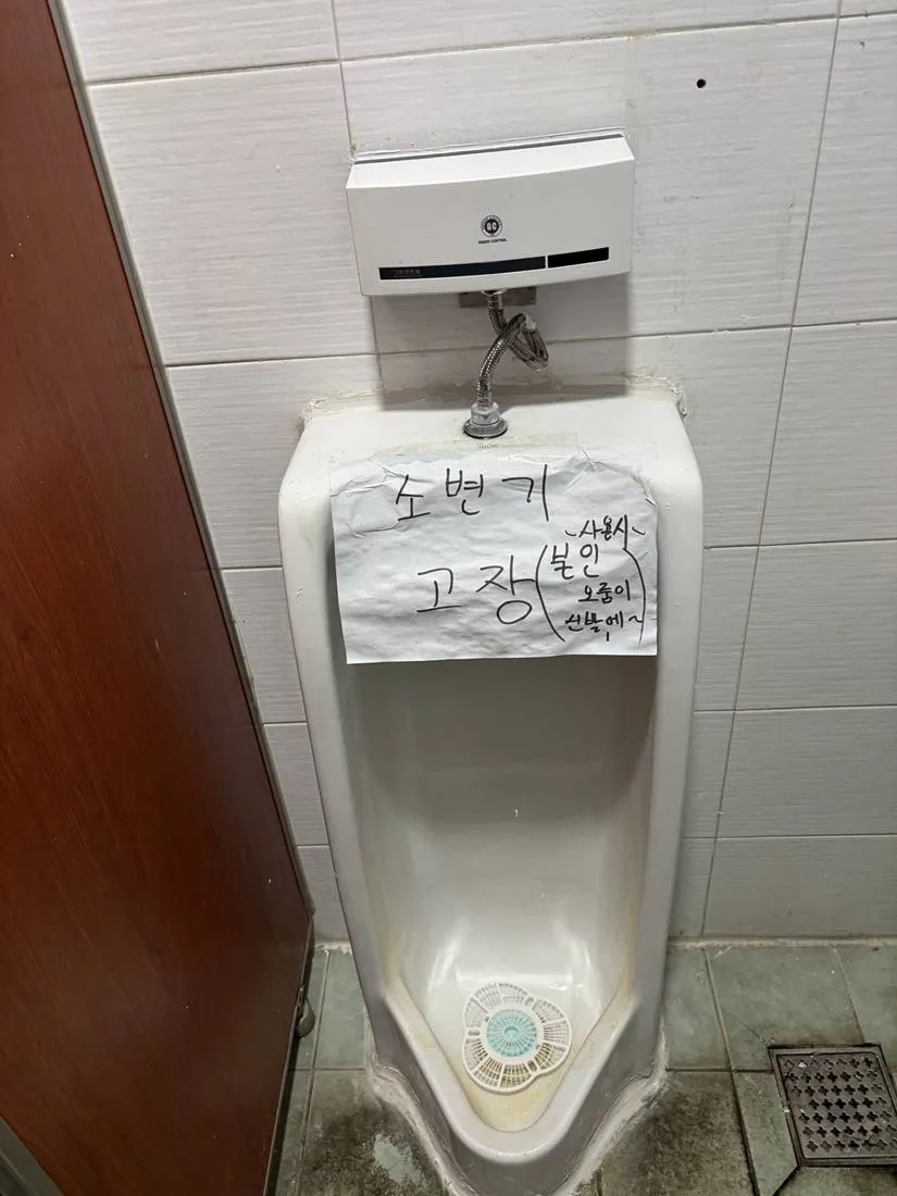 이미지 6