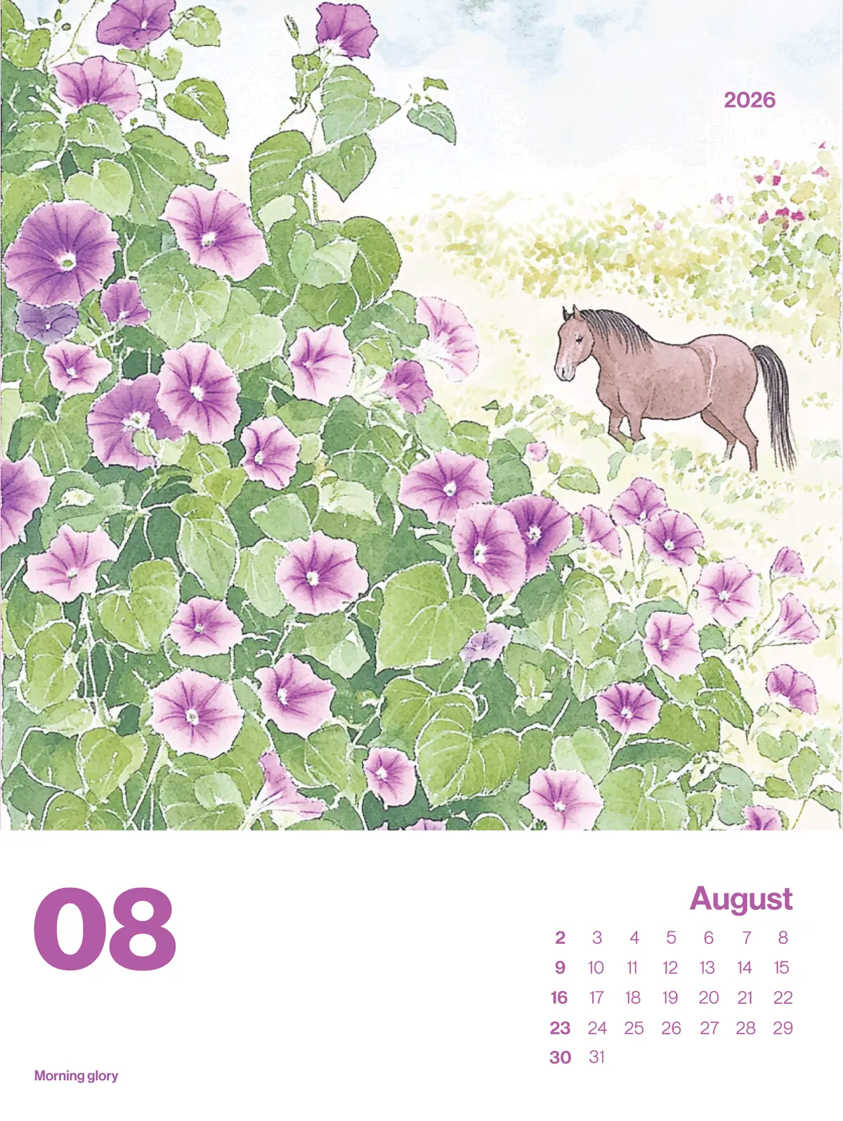 이미지 7