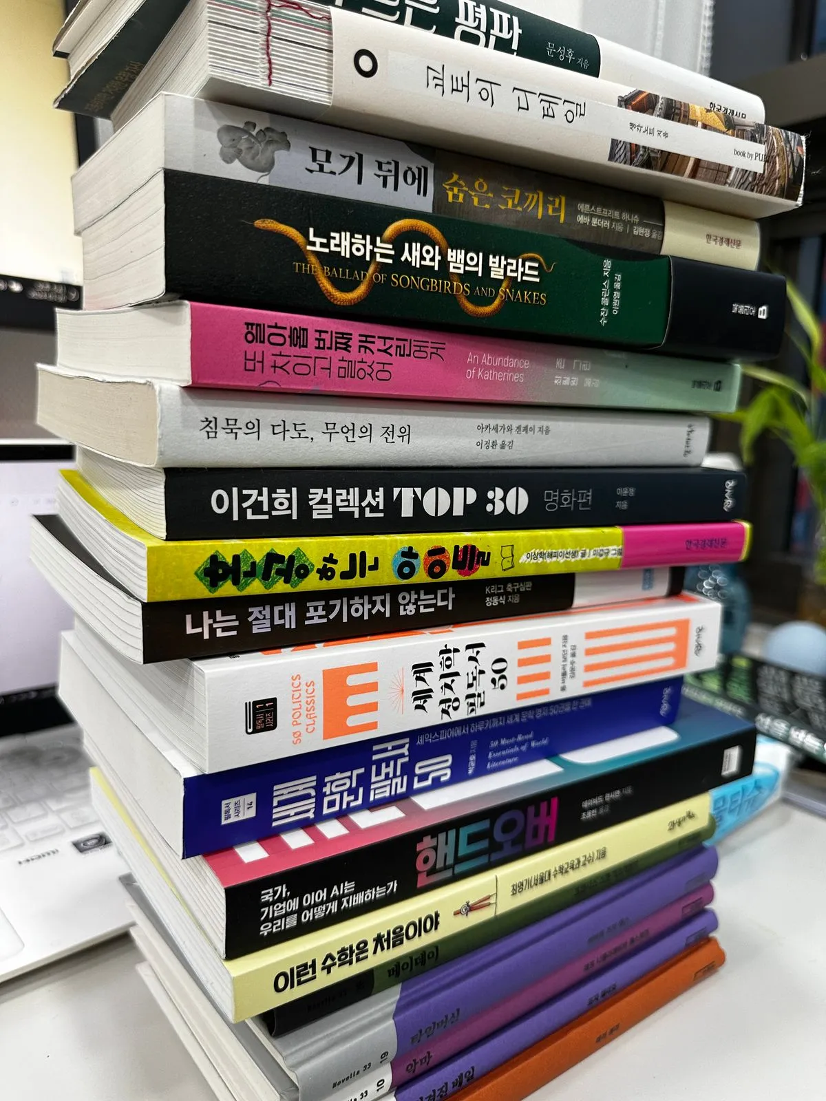 포트폴리오 이미지