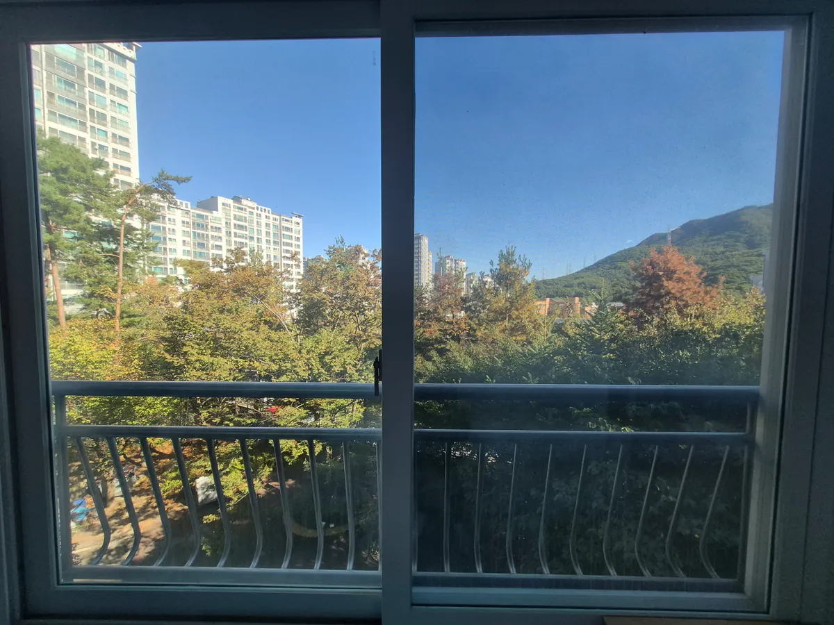이미지 14