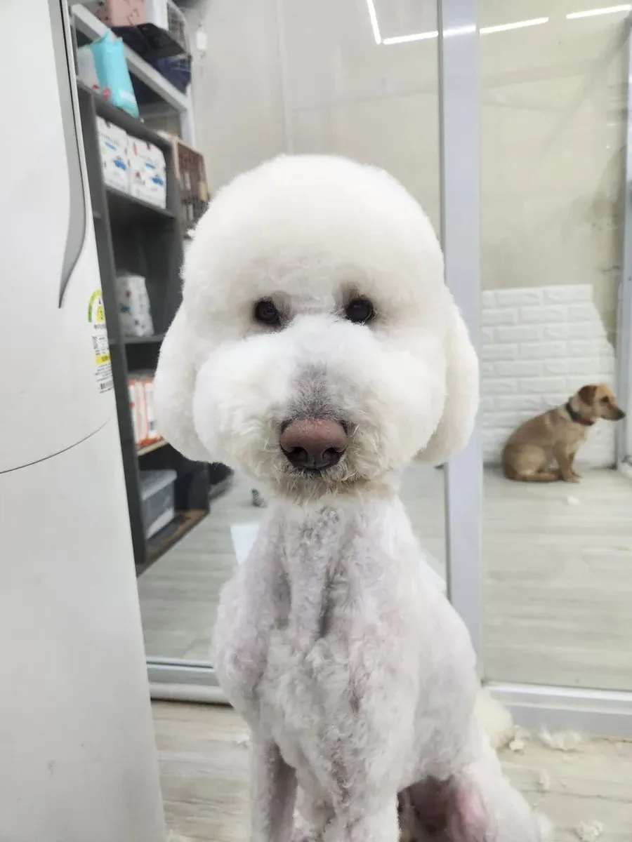 이미지 14