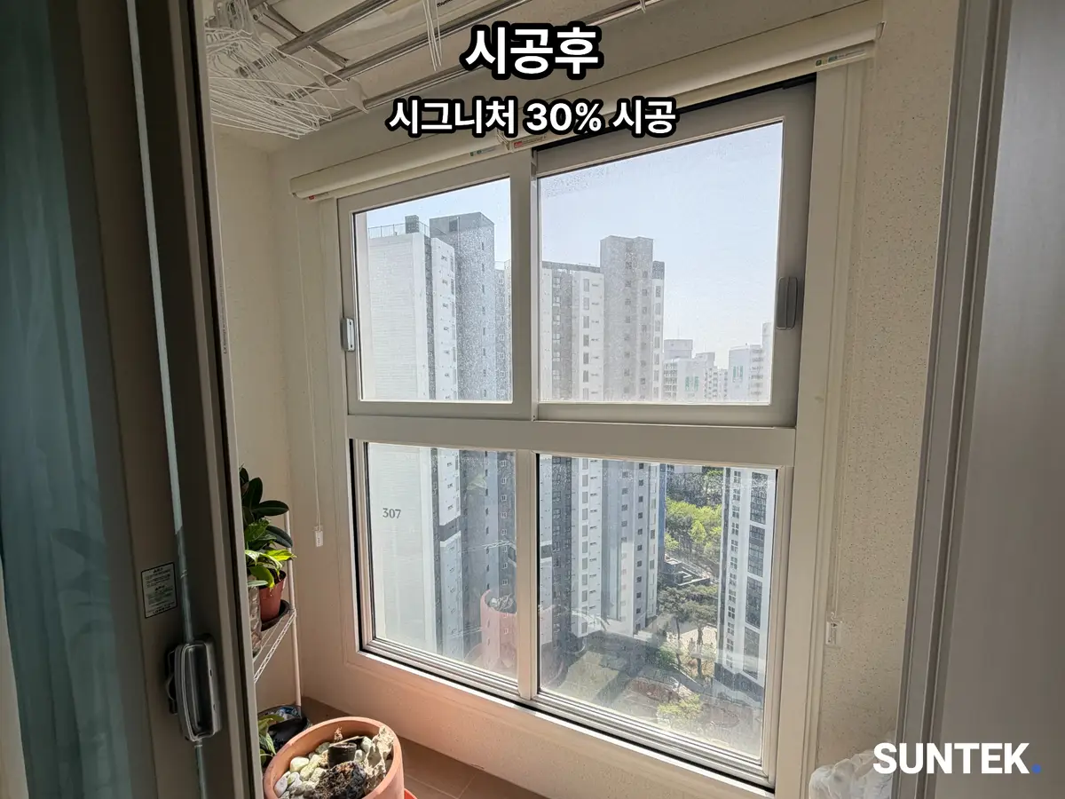 이미지 7