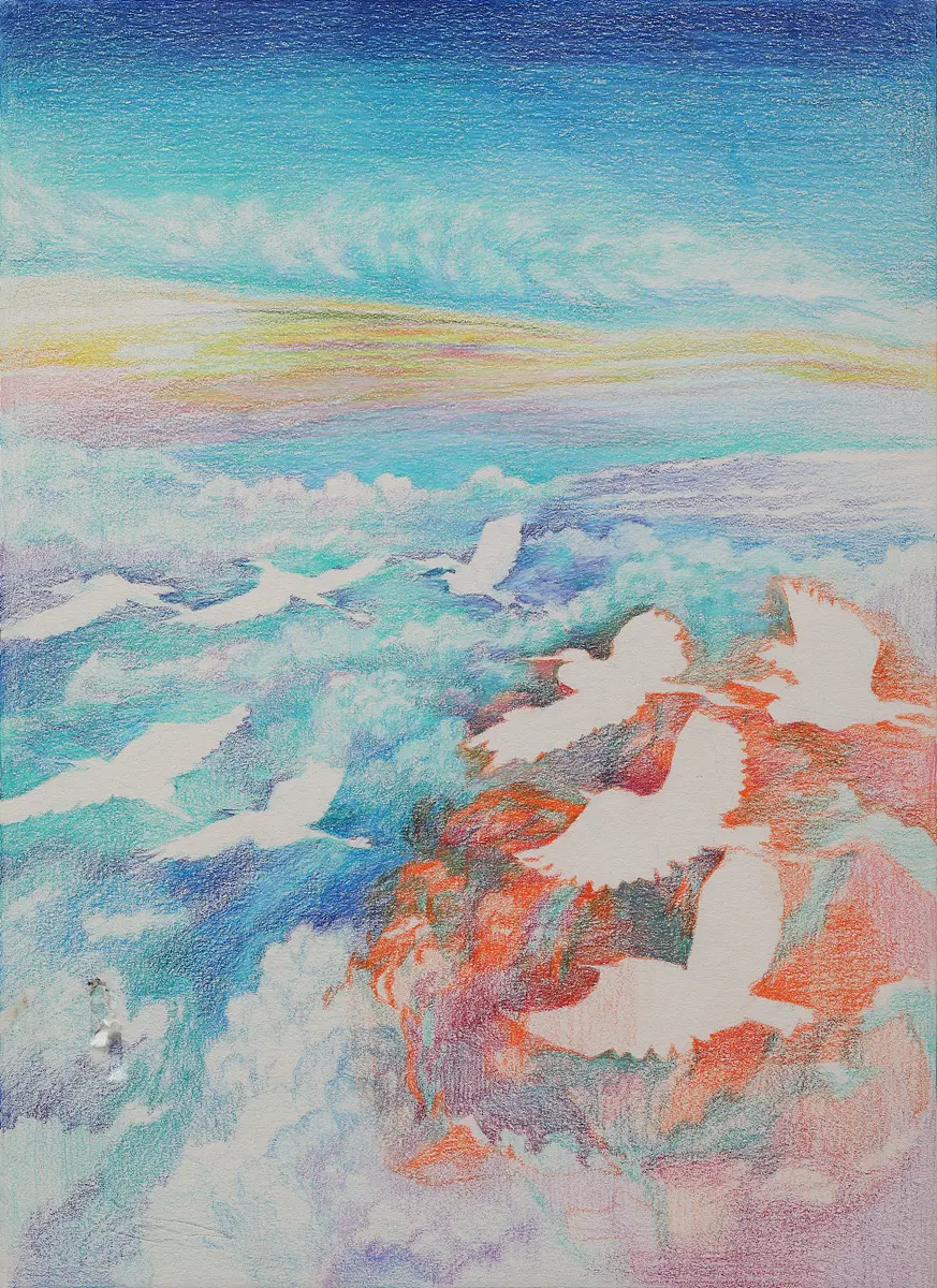 이미지 14