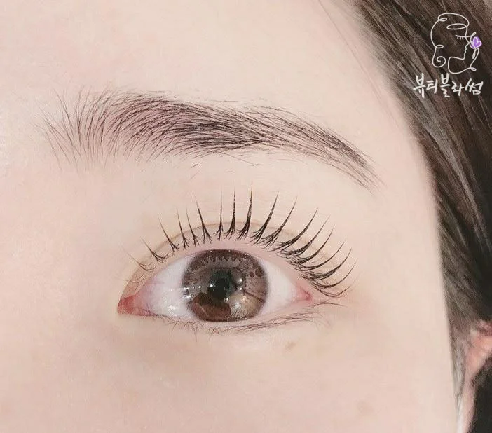 이미지 8
