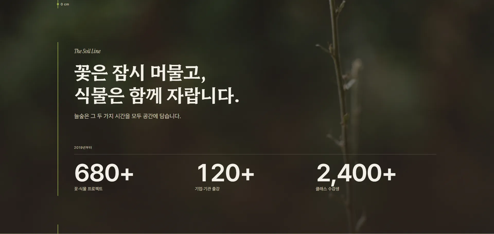 이미지 10