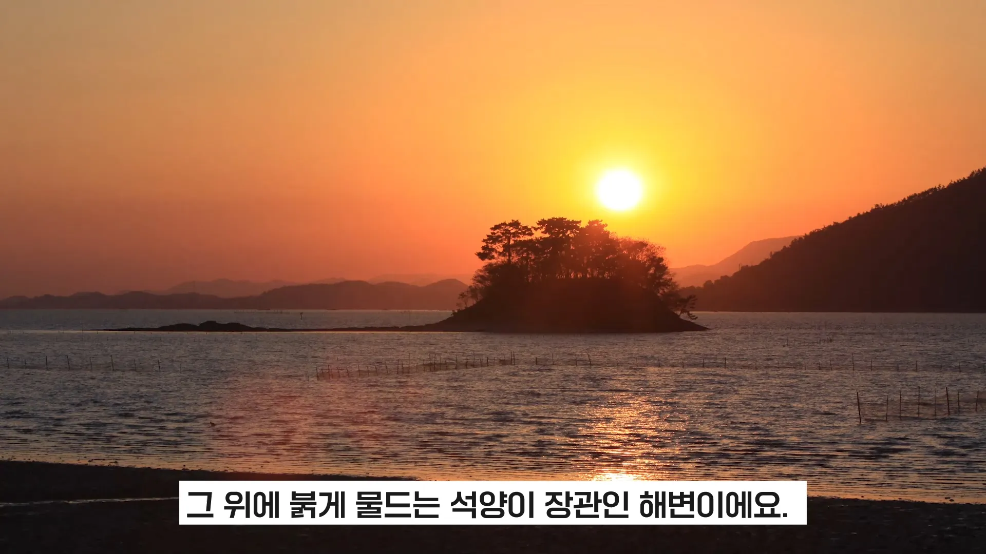 이미지 7