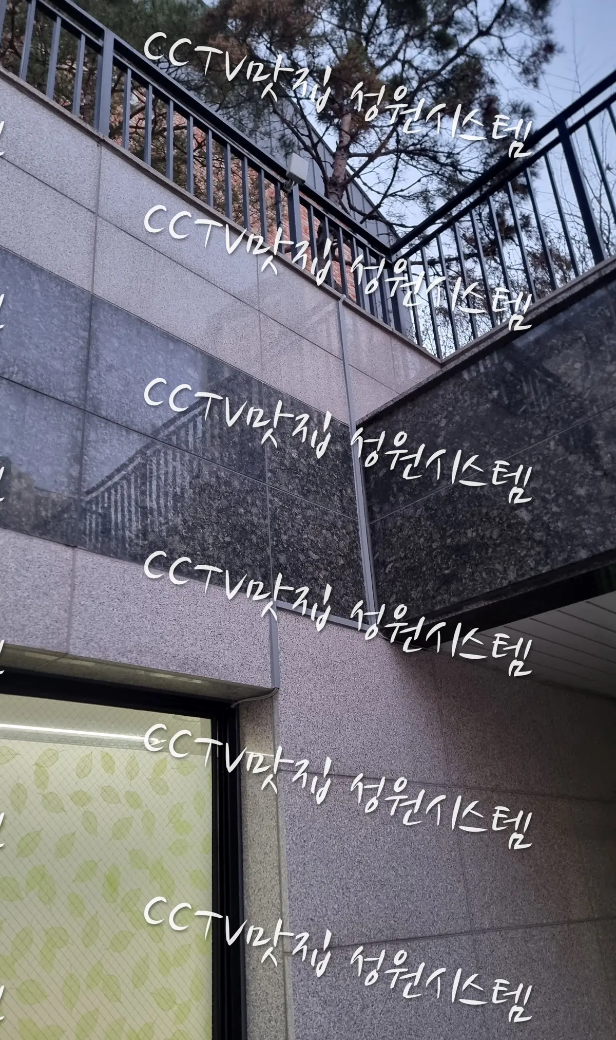 이미지 5