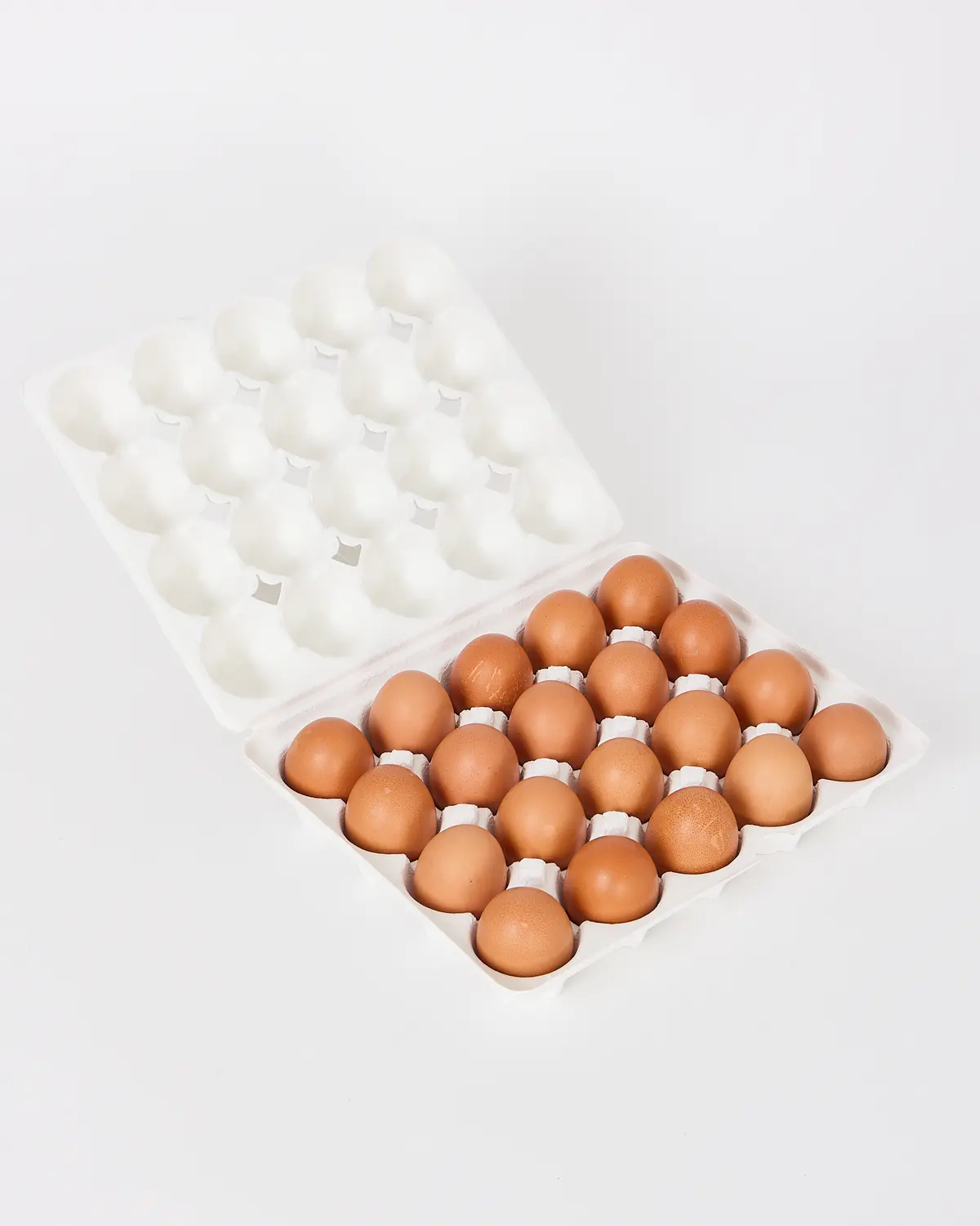 이미지 8