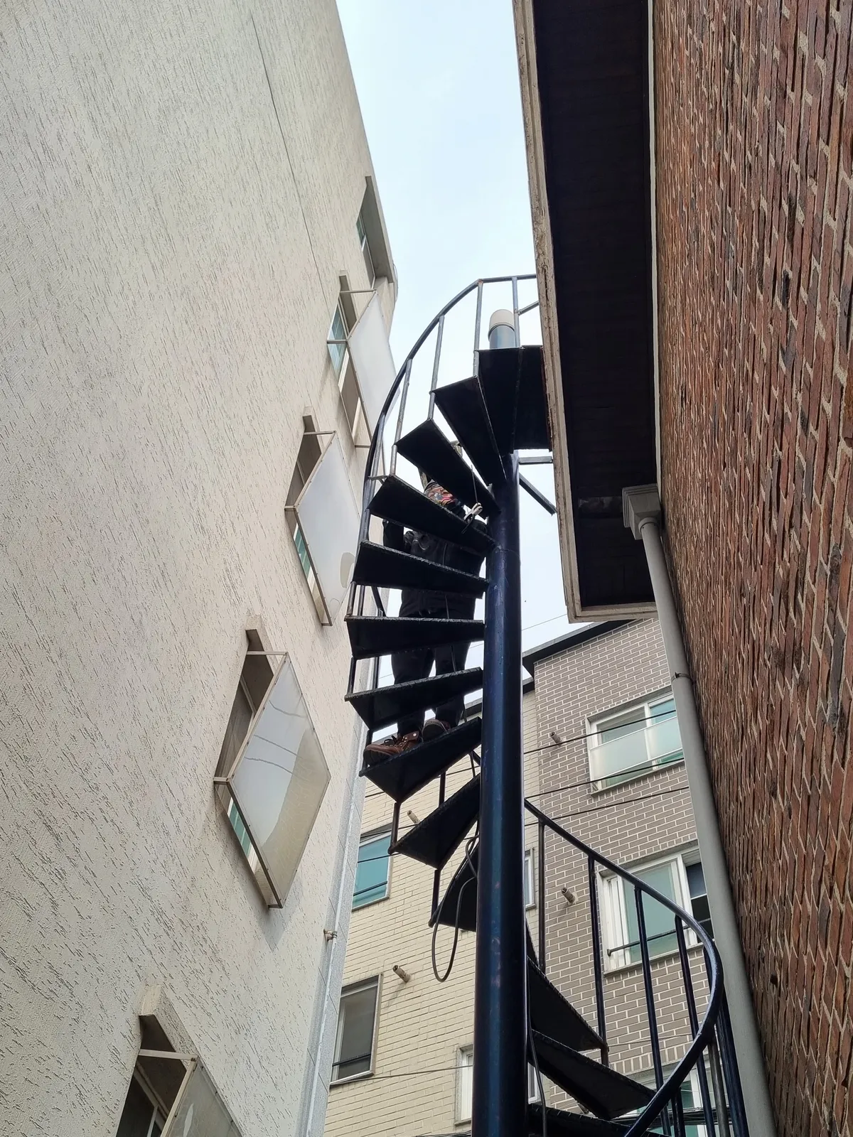 이미지 7
