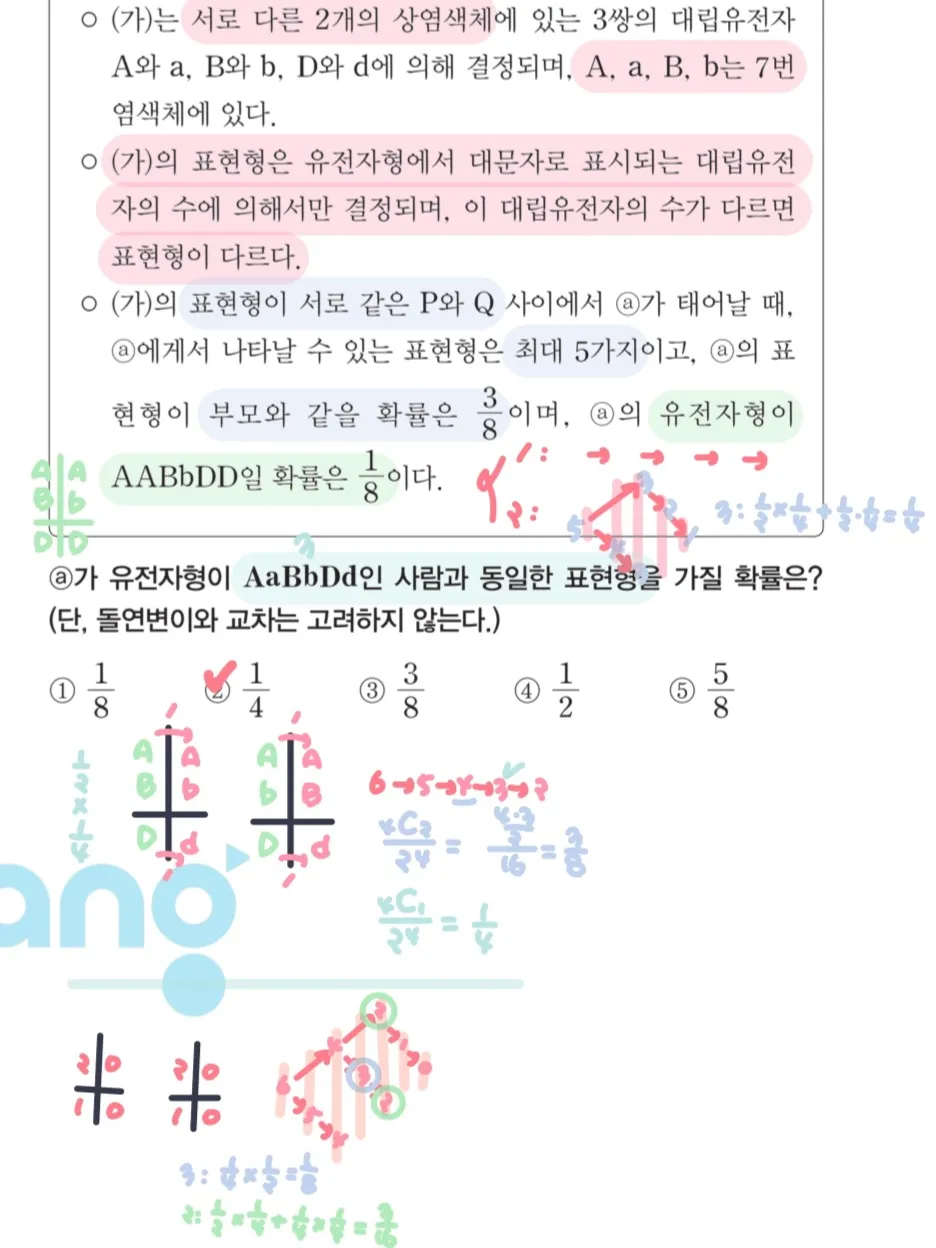 이미지 14