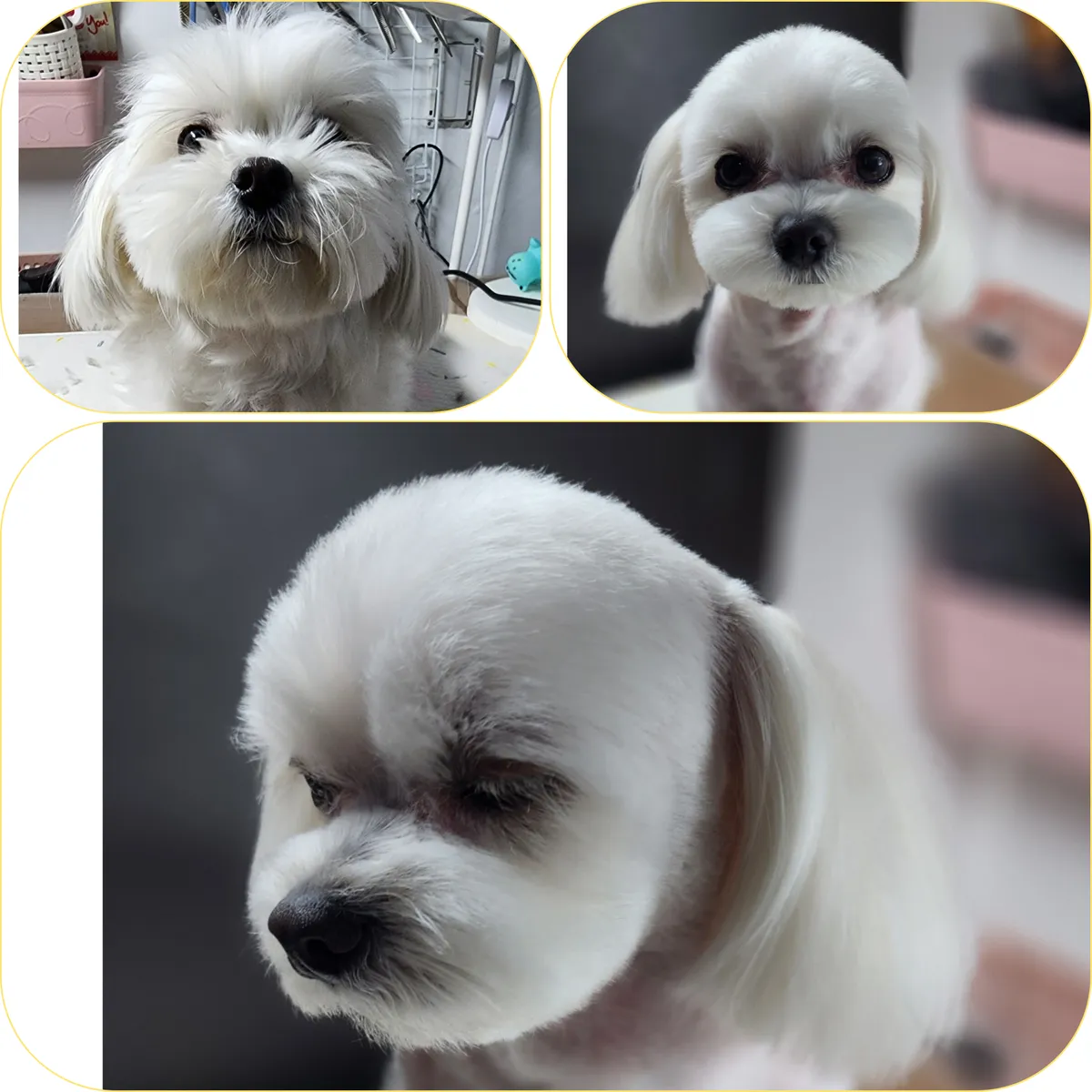 이미지 5