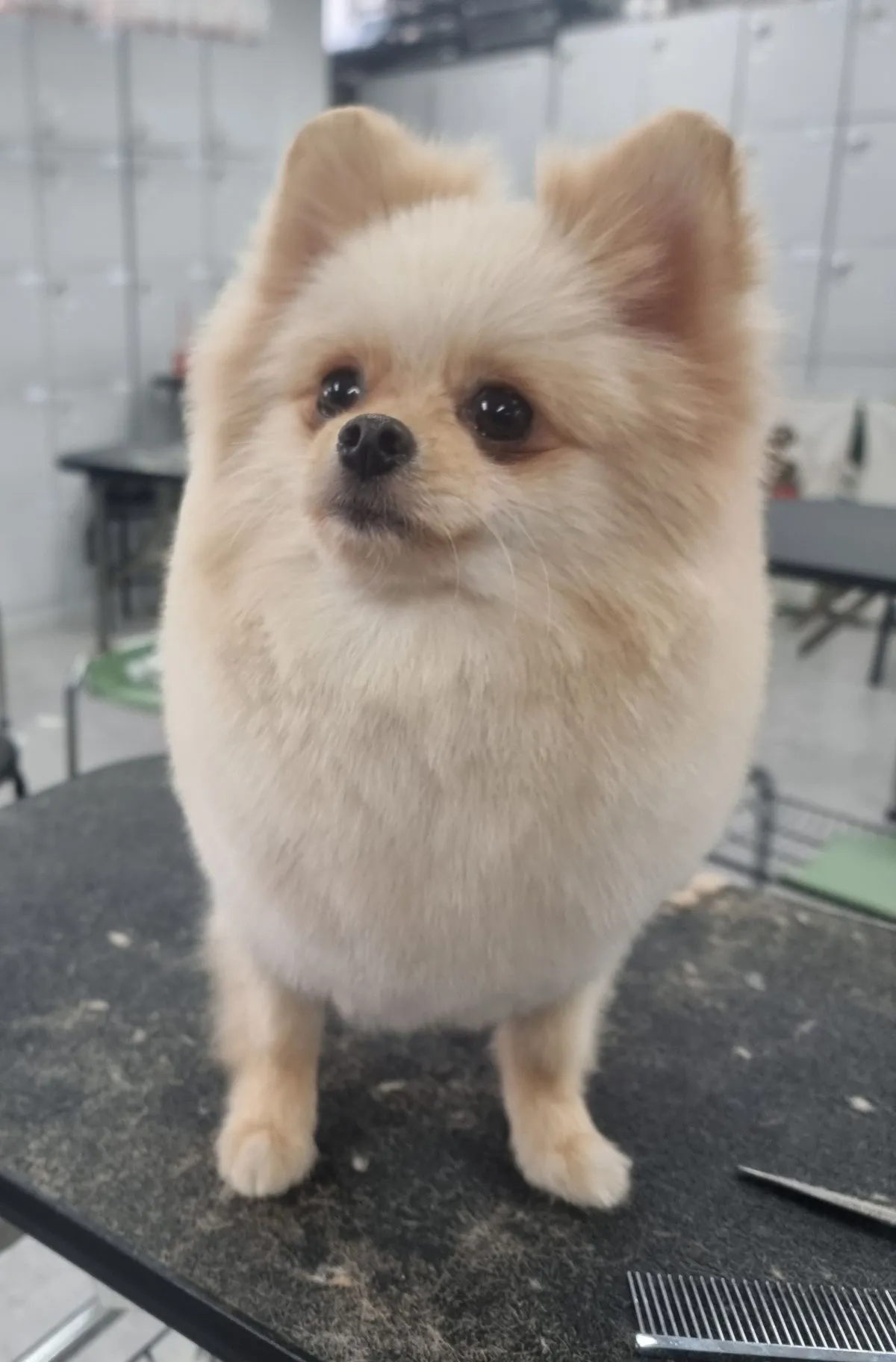 이미지 6
