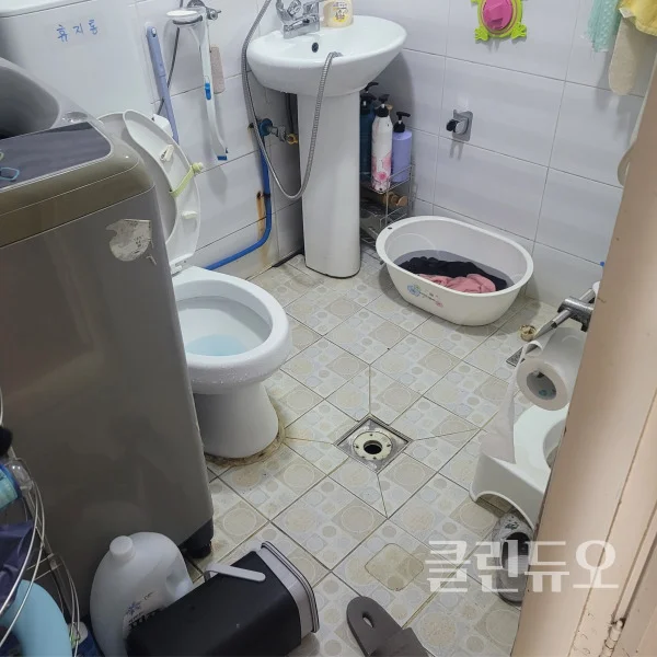 이미지 4