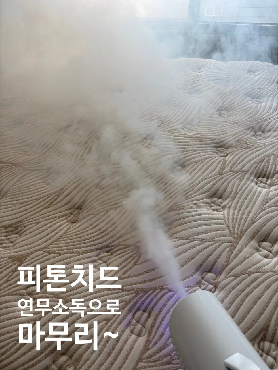 이미지 16
