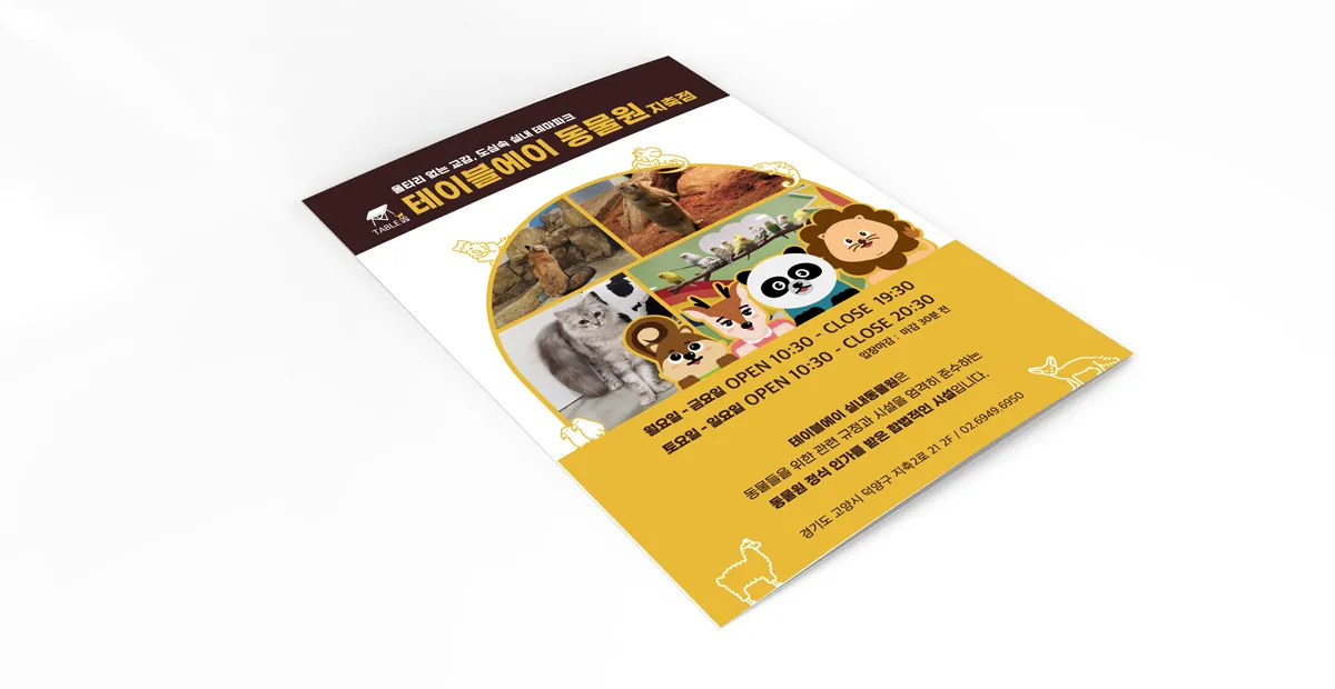 포트폴리오 이미지