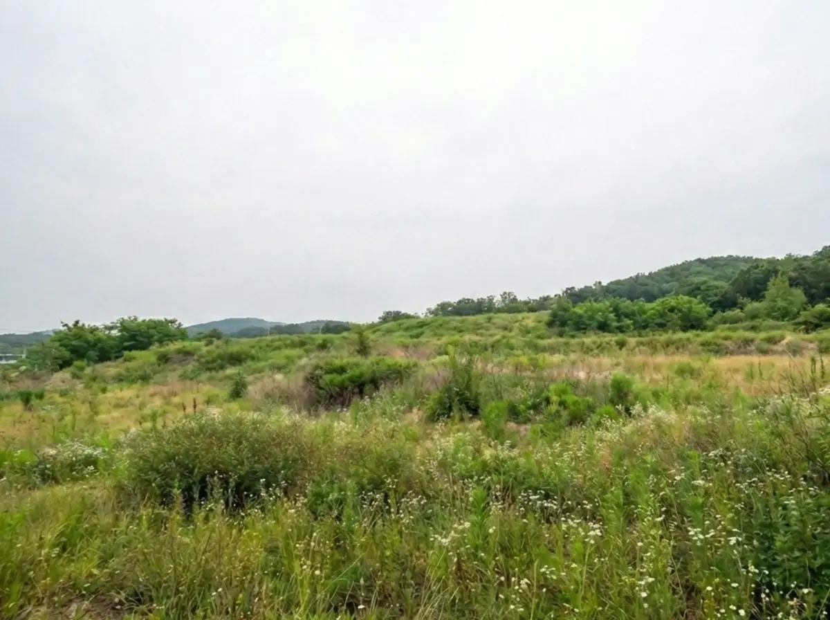 이미지 2