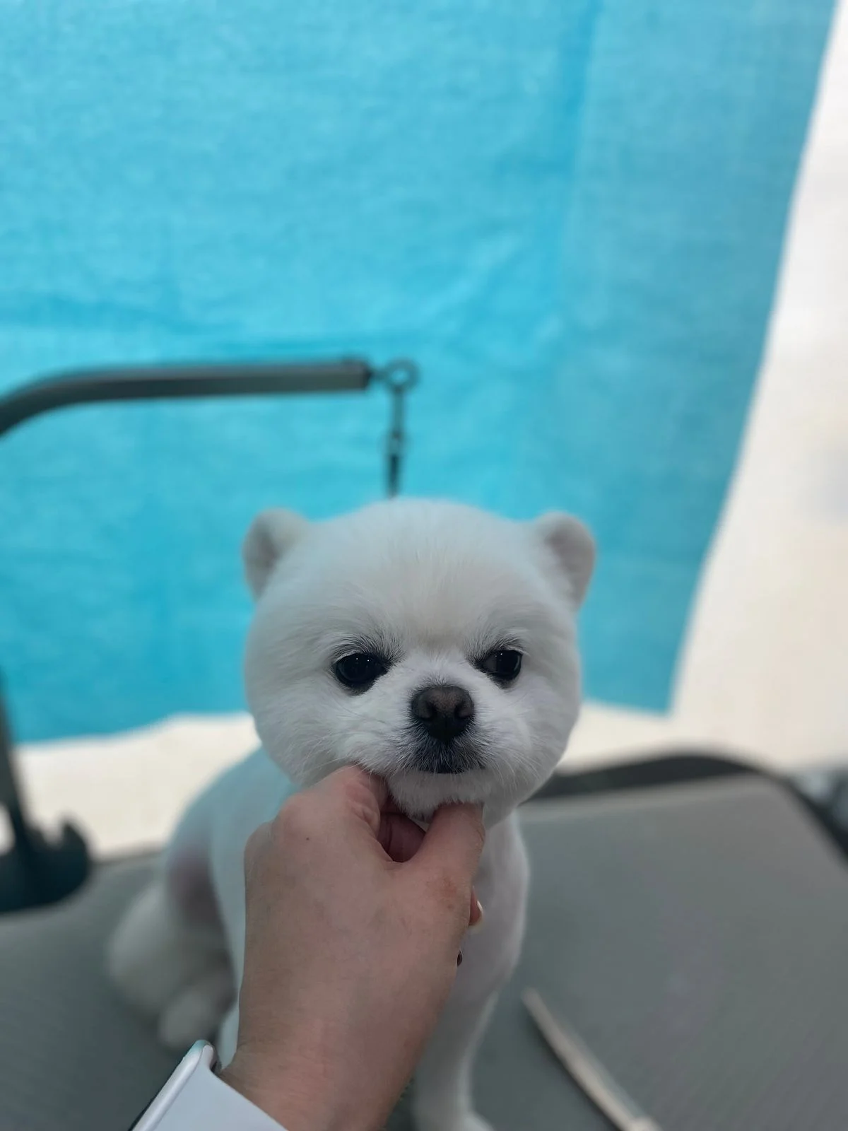 이미지 2