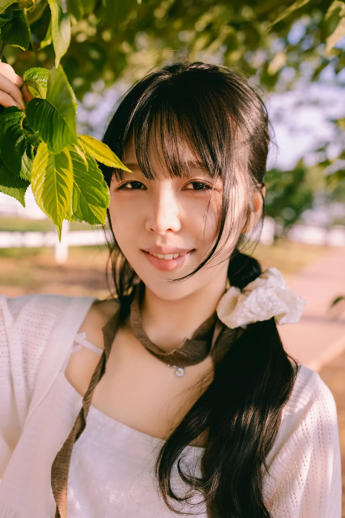 이미지 12