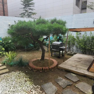 청담동 스튜디오 예초작업