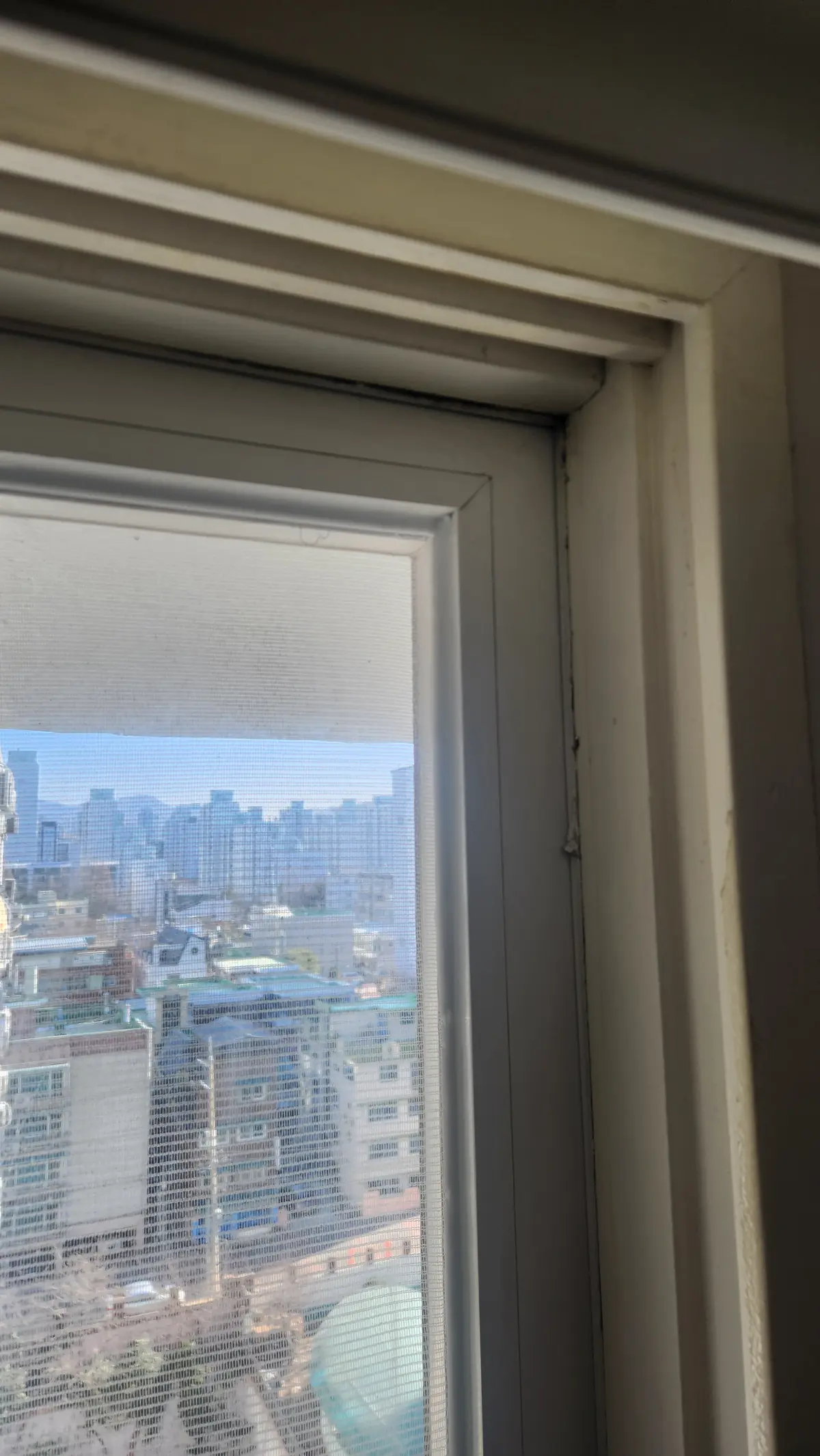 이미지 14