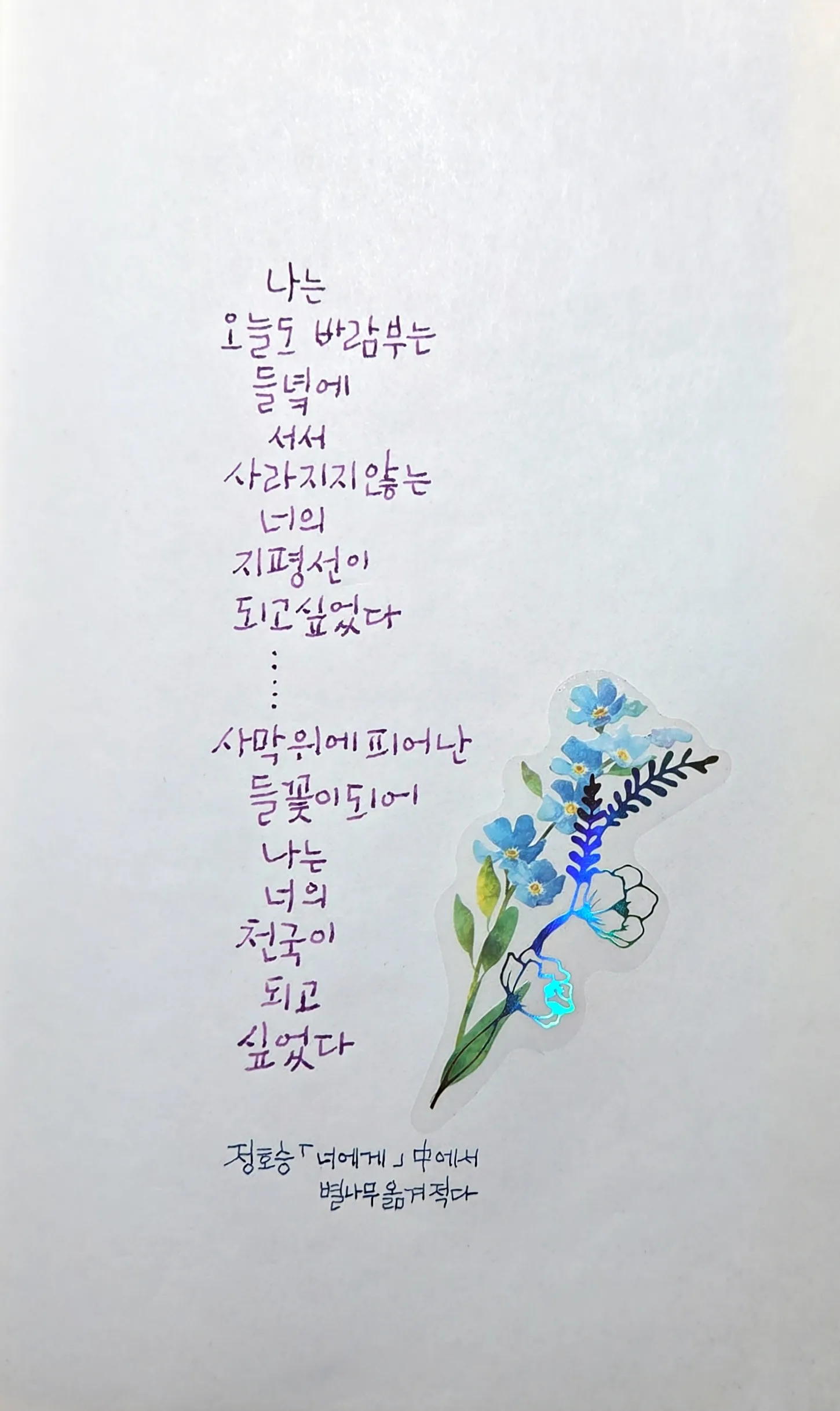 이미지 6