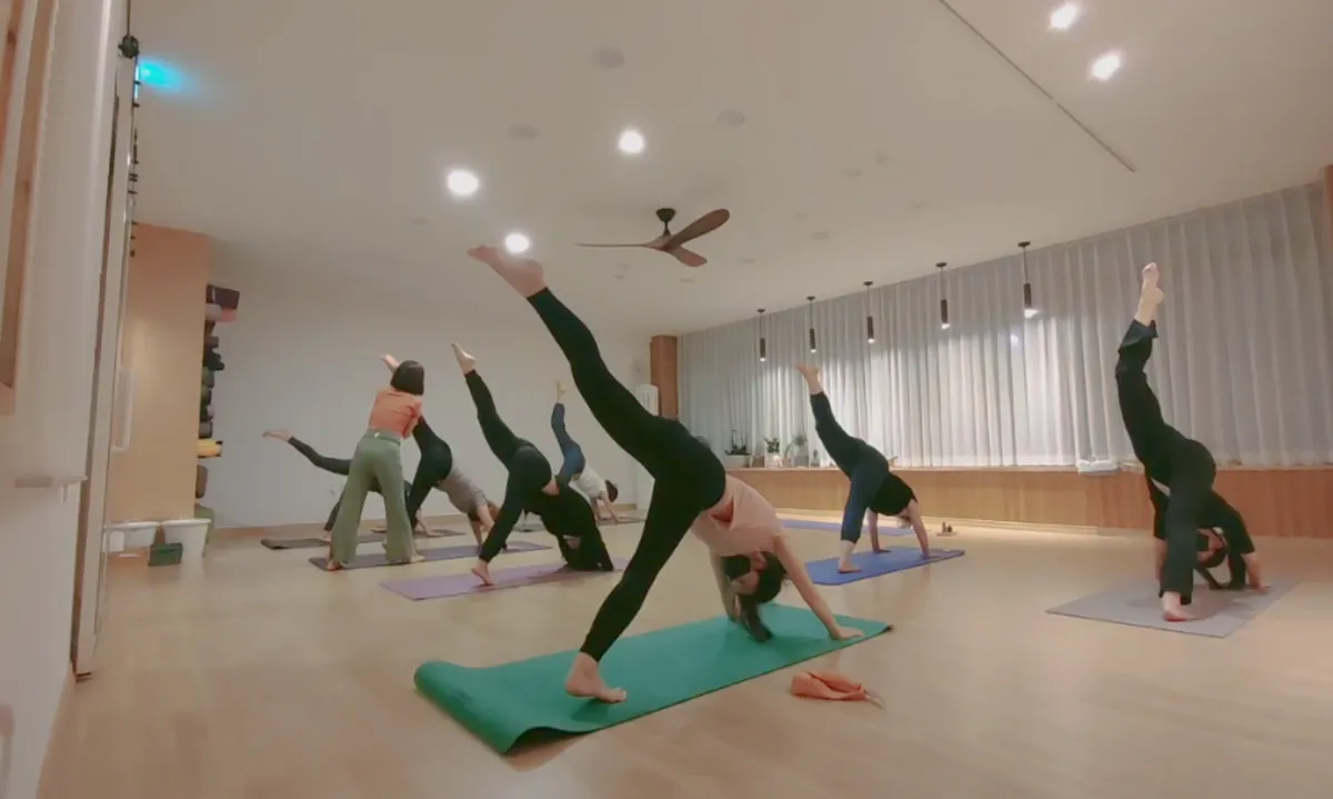 이미지 8