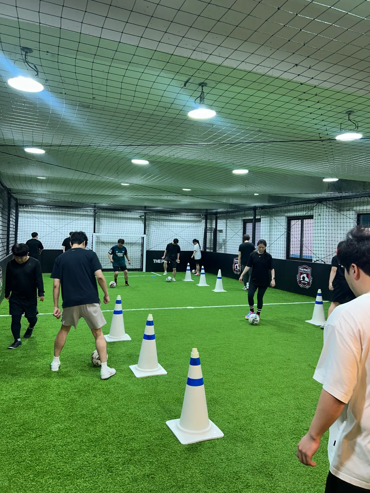이미지 3