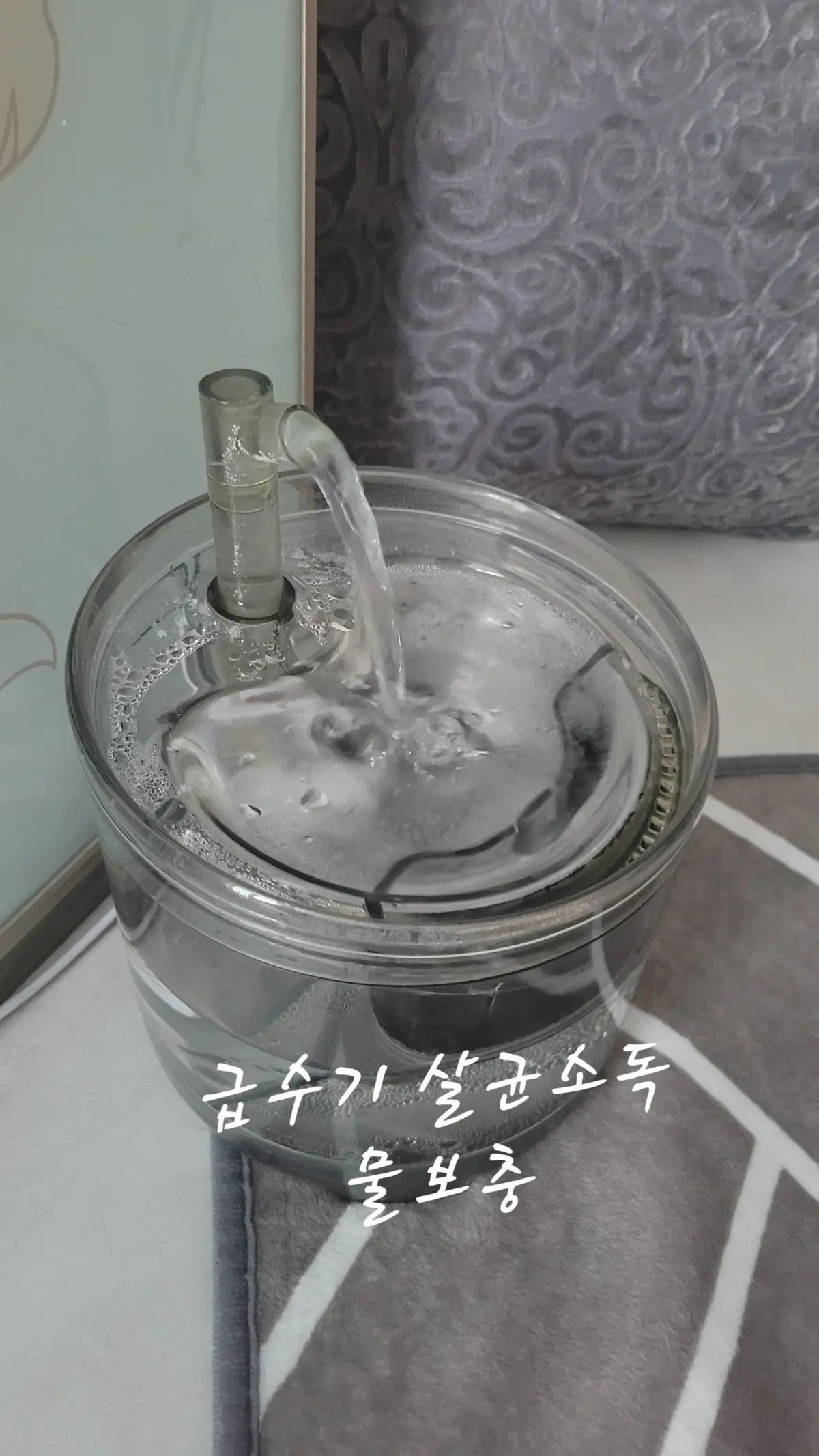이미지 10